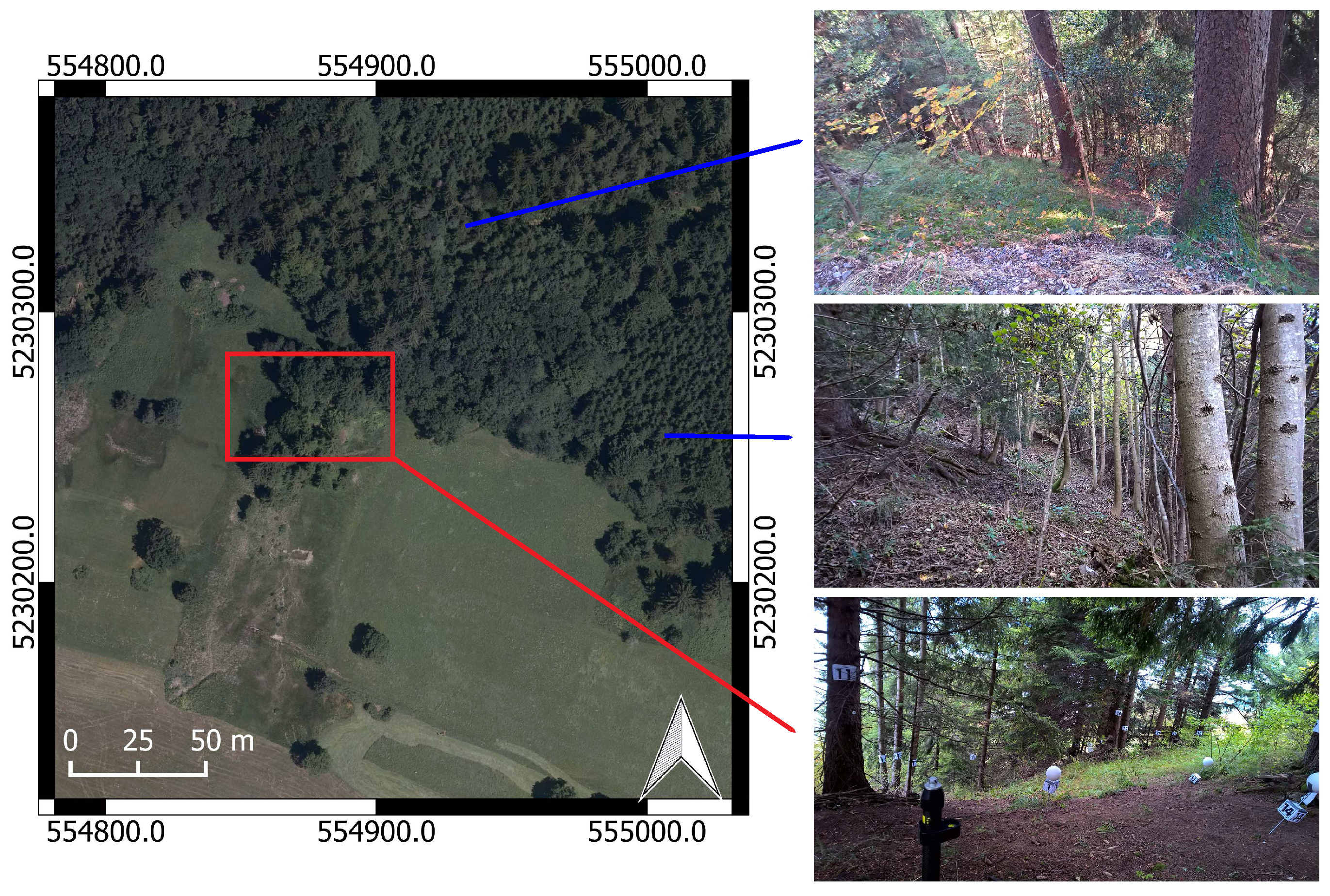 Remotesensing 08 00974 g001