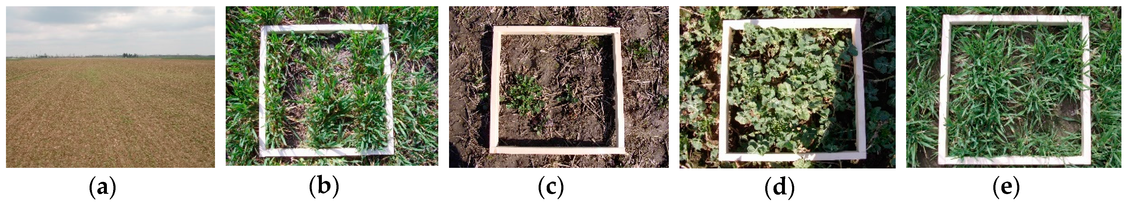 Remotesensing 08 00977 g009