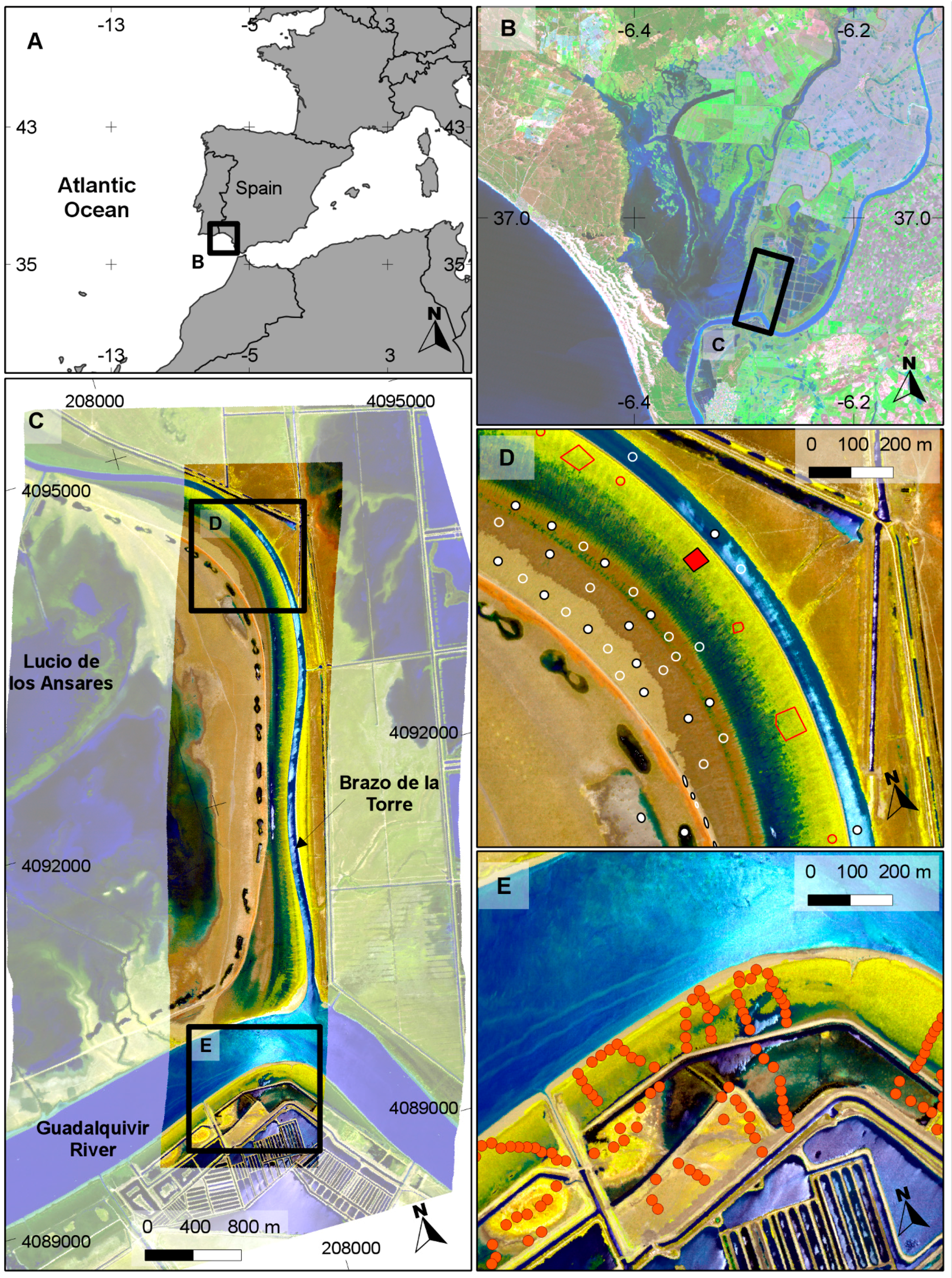 Remotesensing 08 01001 g001