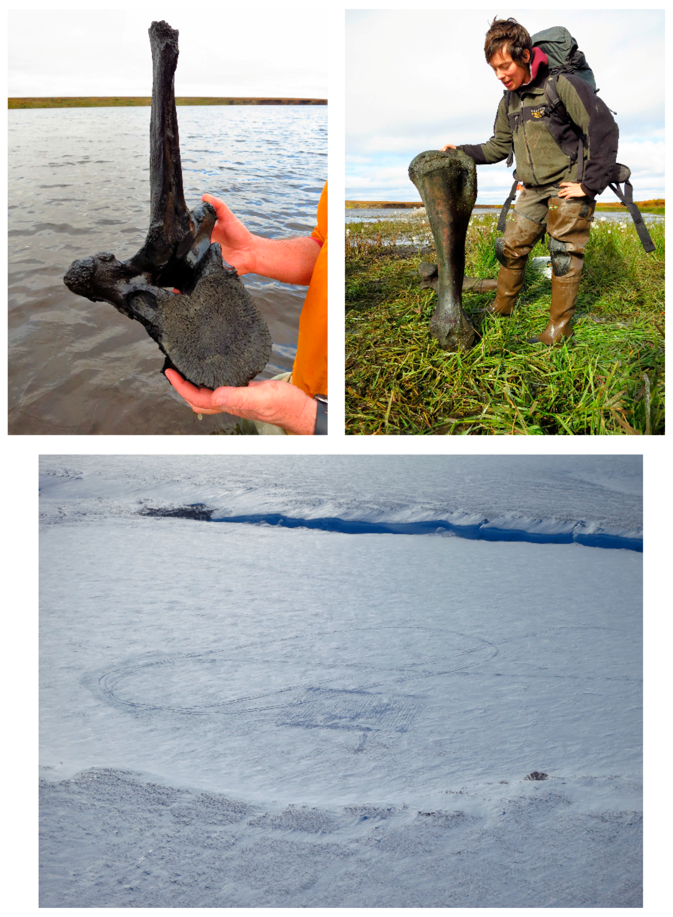 Remotesensing 08 01007 g014