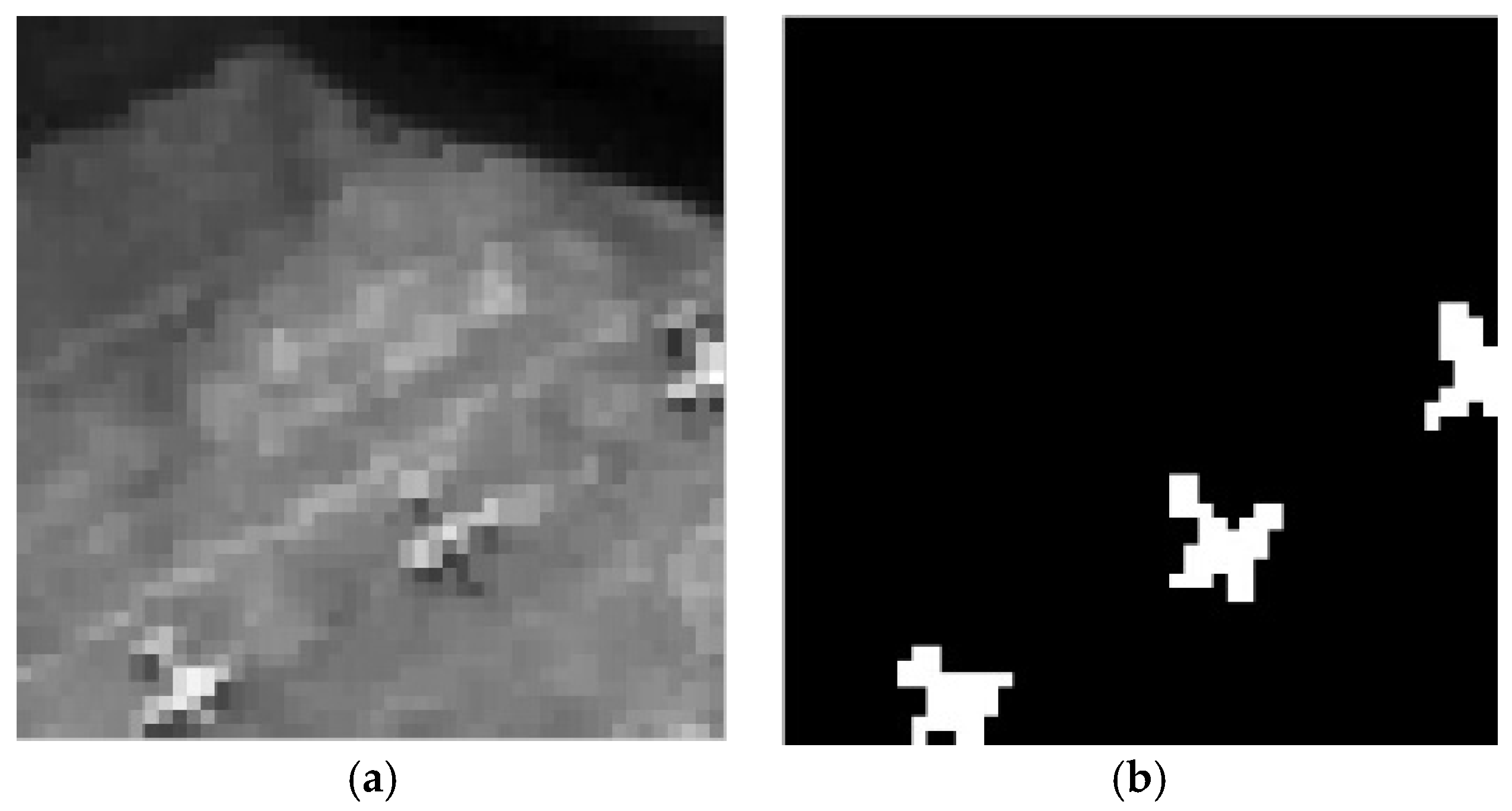 Remotesensing 08 01011 g007