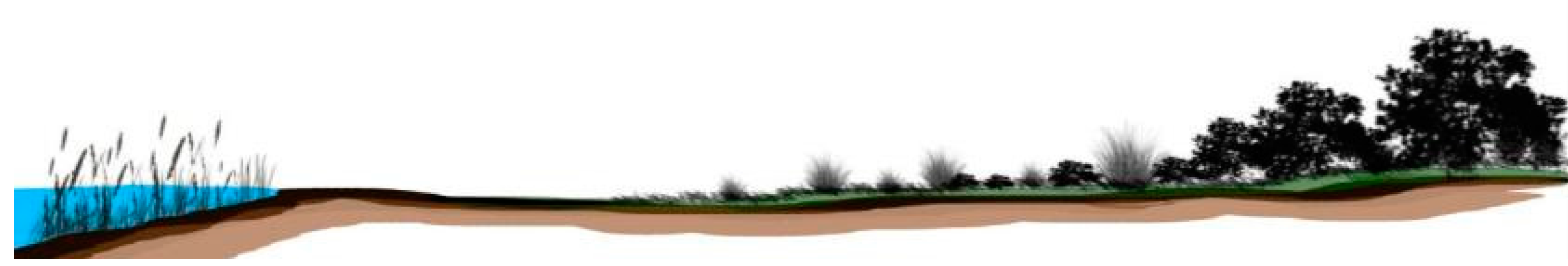 Remotesensing 08 01027 i001