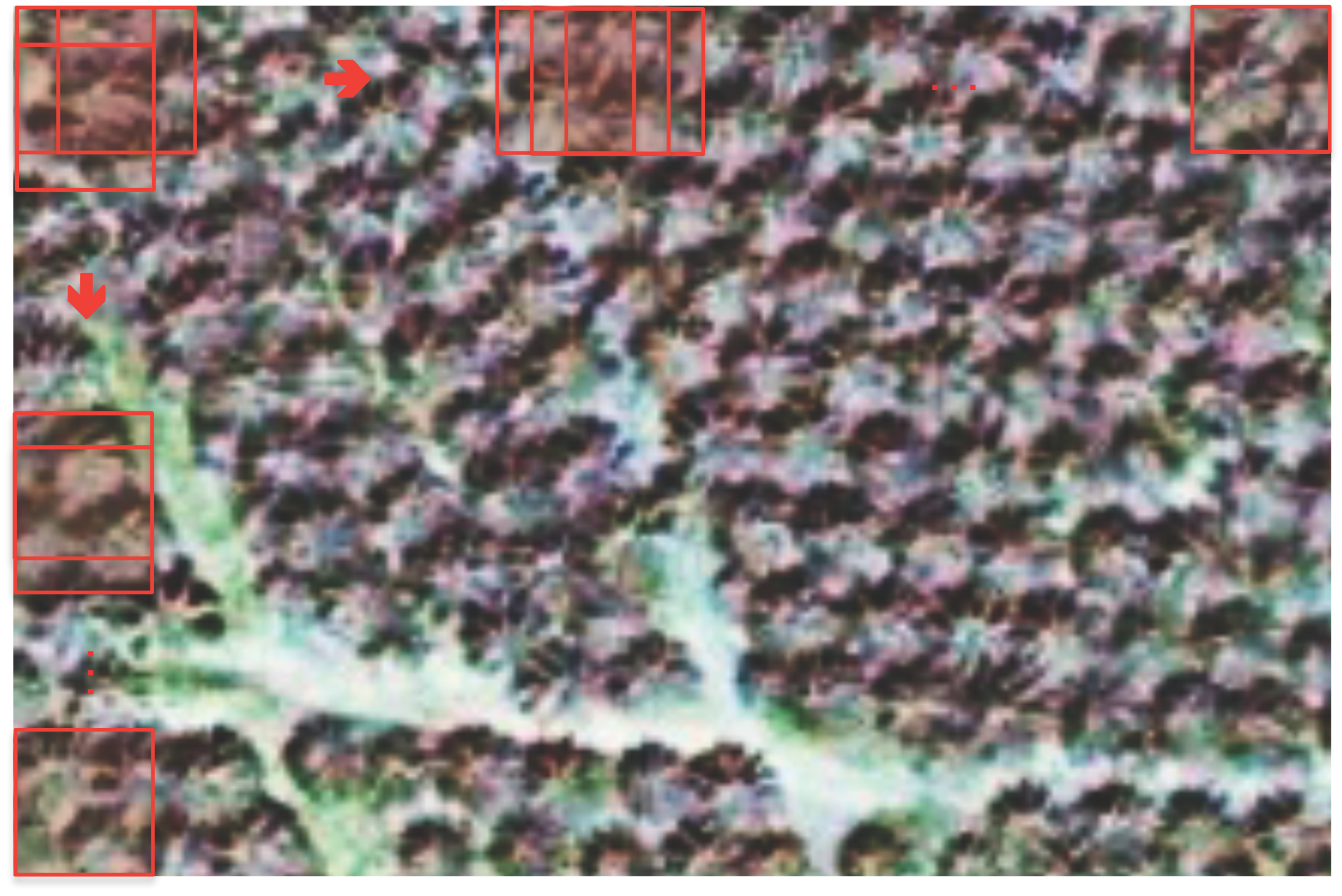 Remotesensing 09 00022 g004