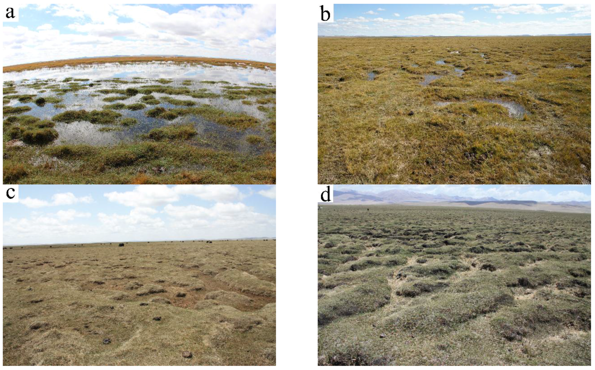 Remotesensing 09 00031 g002