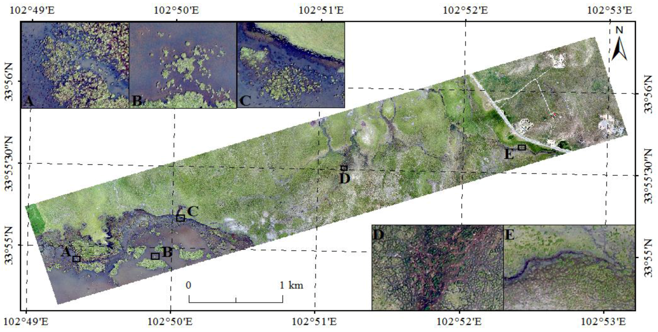 Remotesensing 09 00031 g004