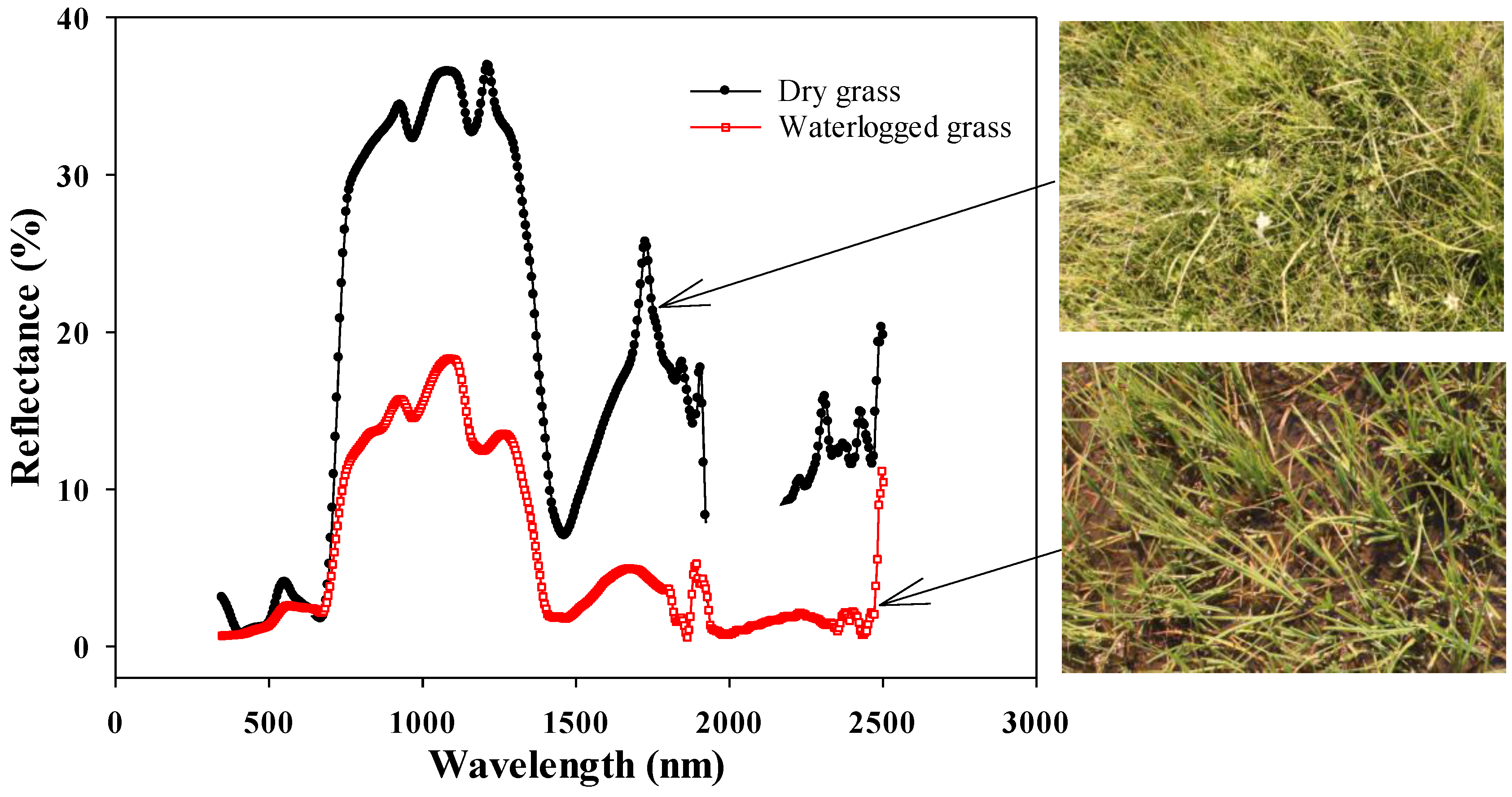 Remotesensing 09 00031 g013