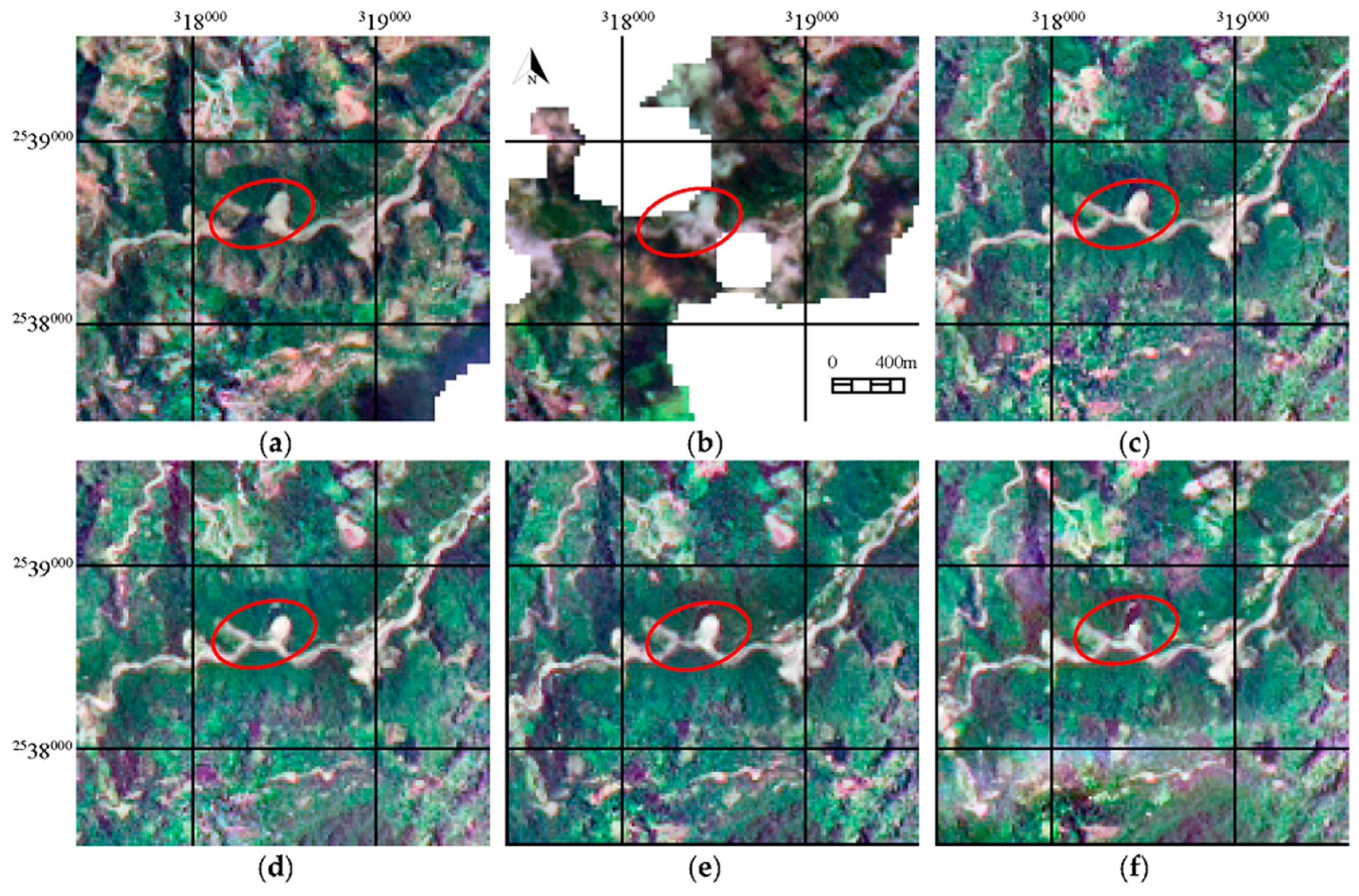 Remotesensing 09 00079 g006
