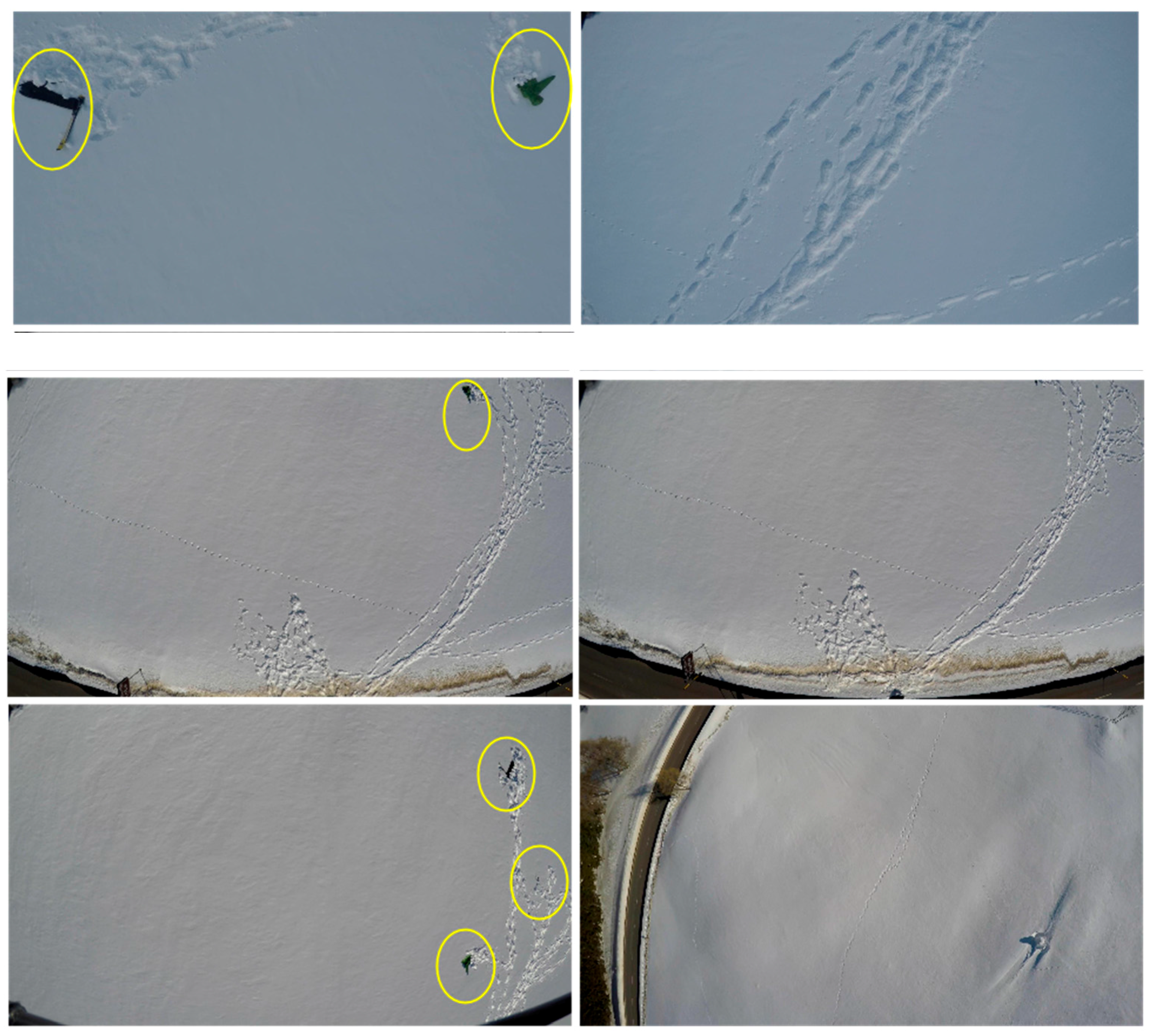 Remotesensing 09 00100 g006