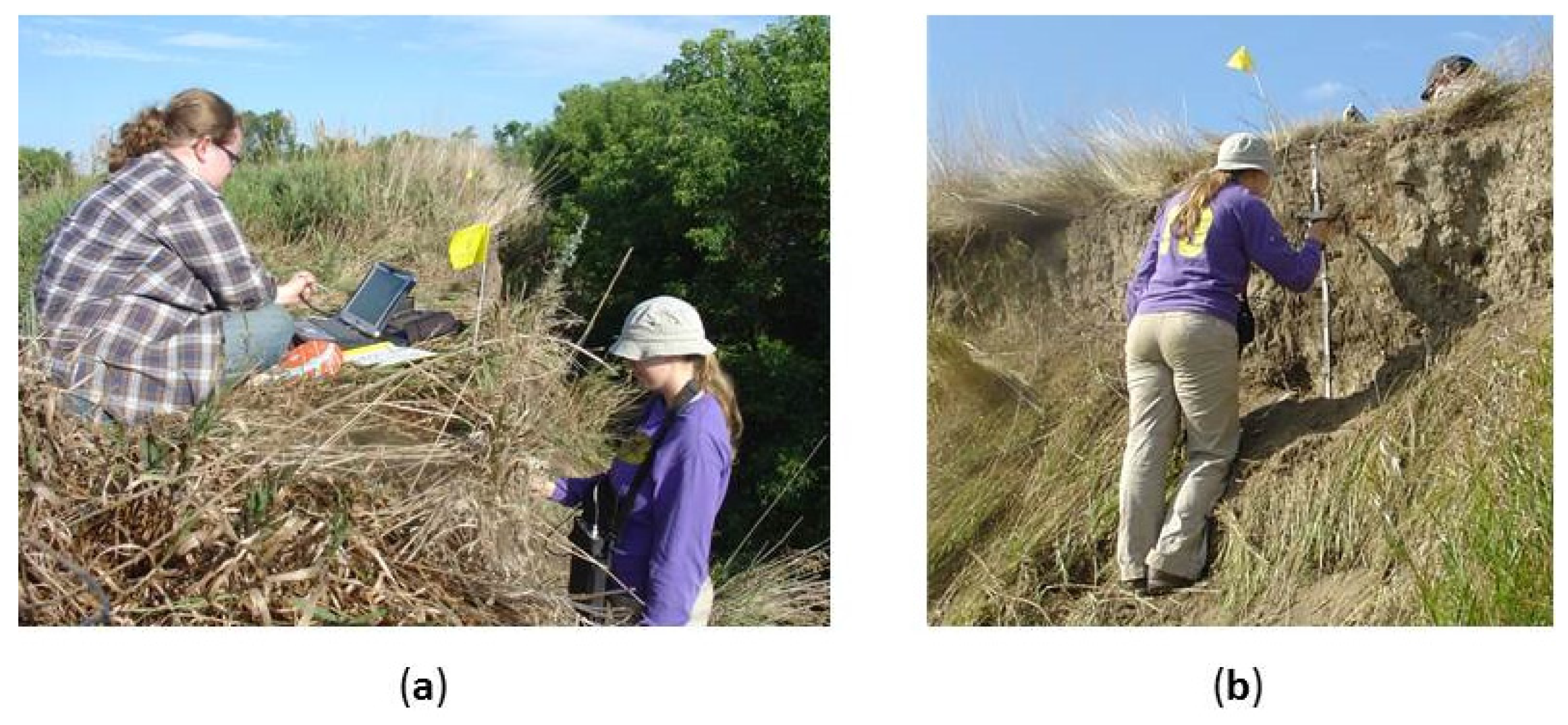 Remotesensing 09 00112 g005