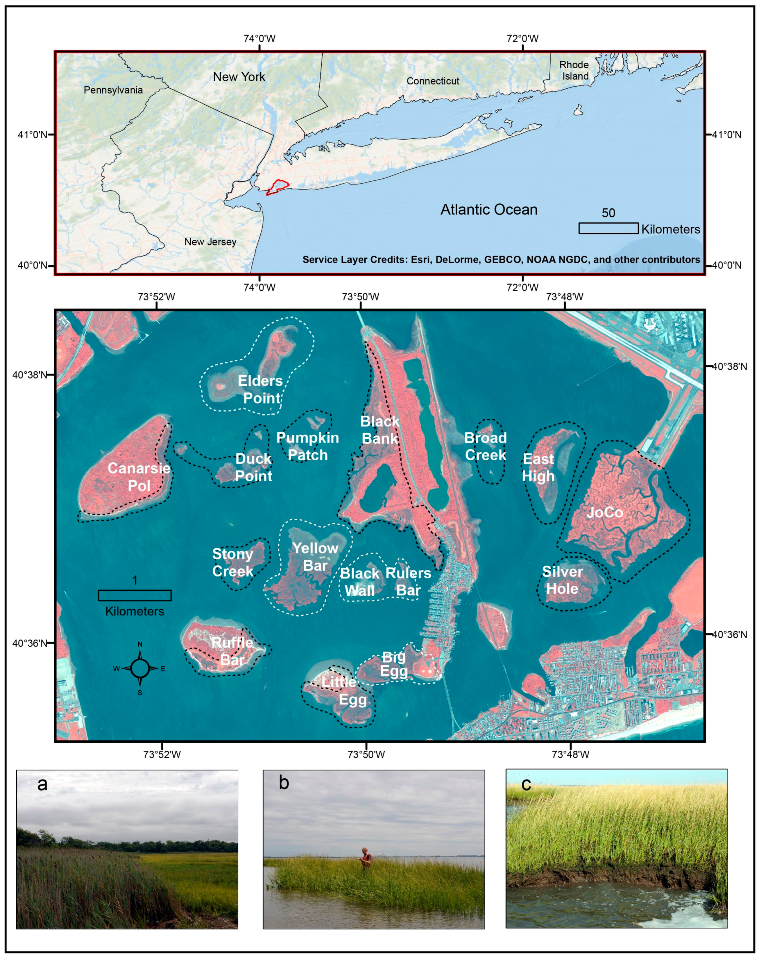 Remotesensing 09 00131 g001