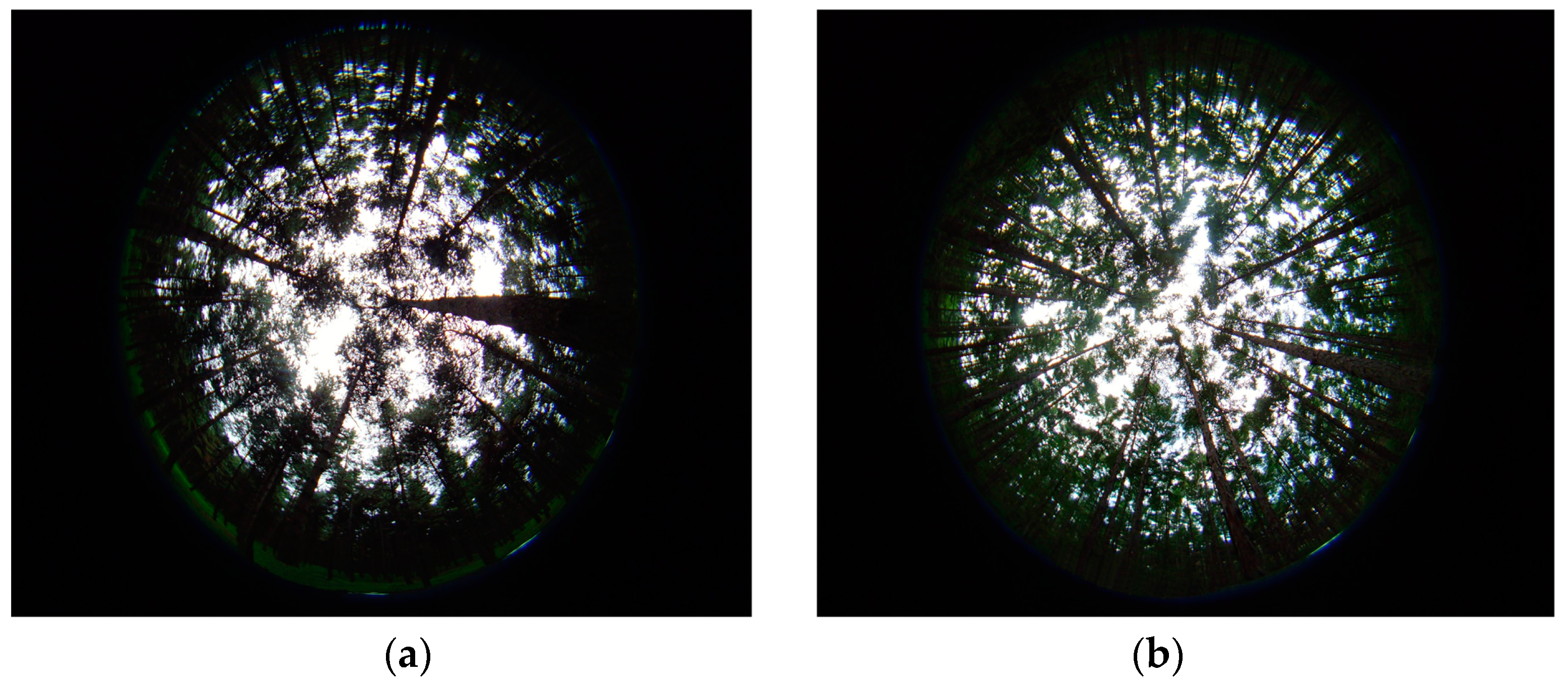 Remotesensing 09 00163 g003