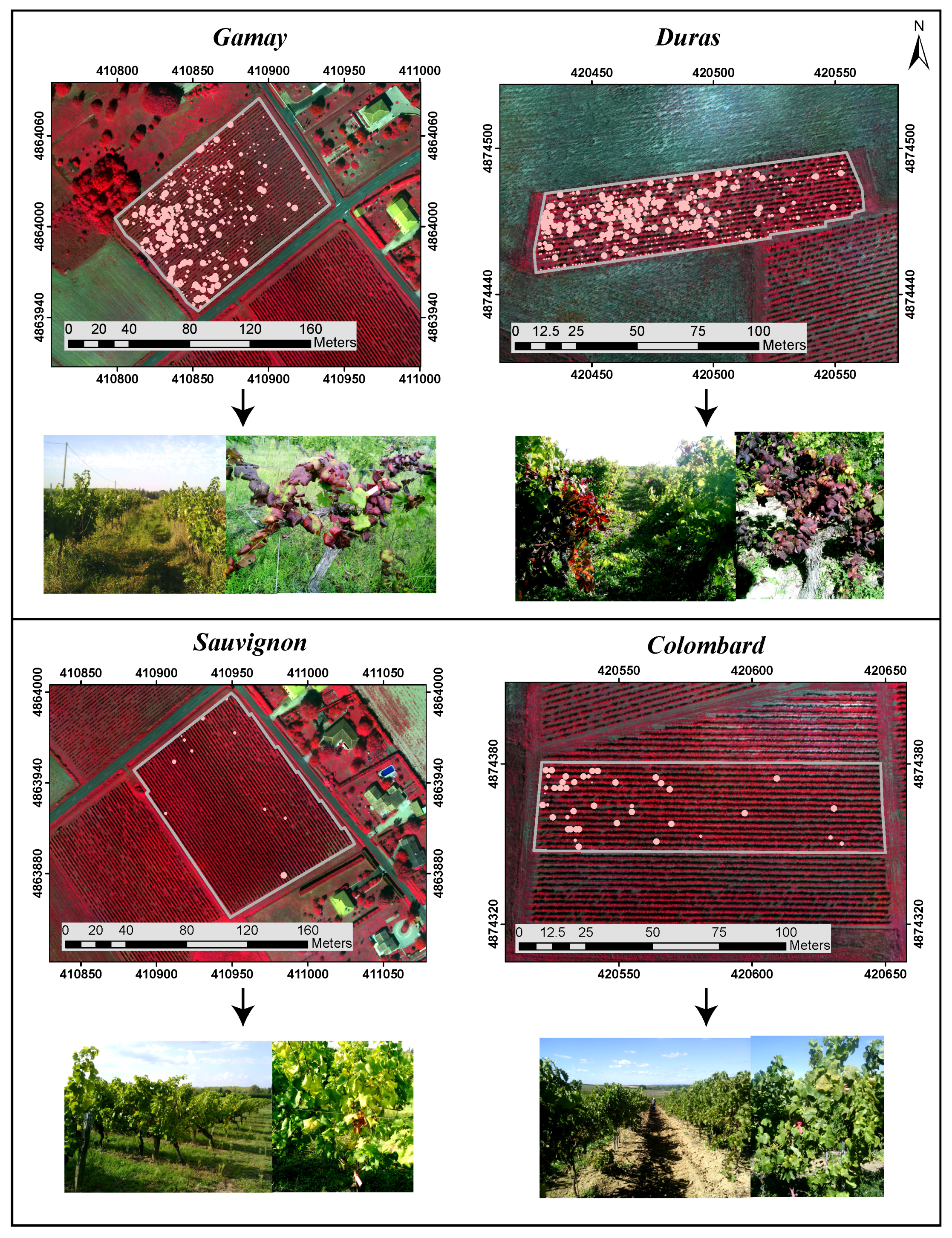 Remotesensing 09 00308 g003