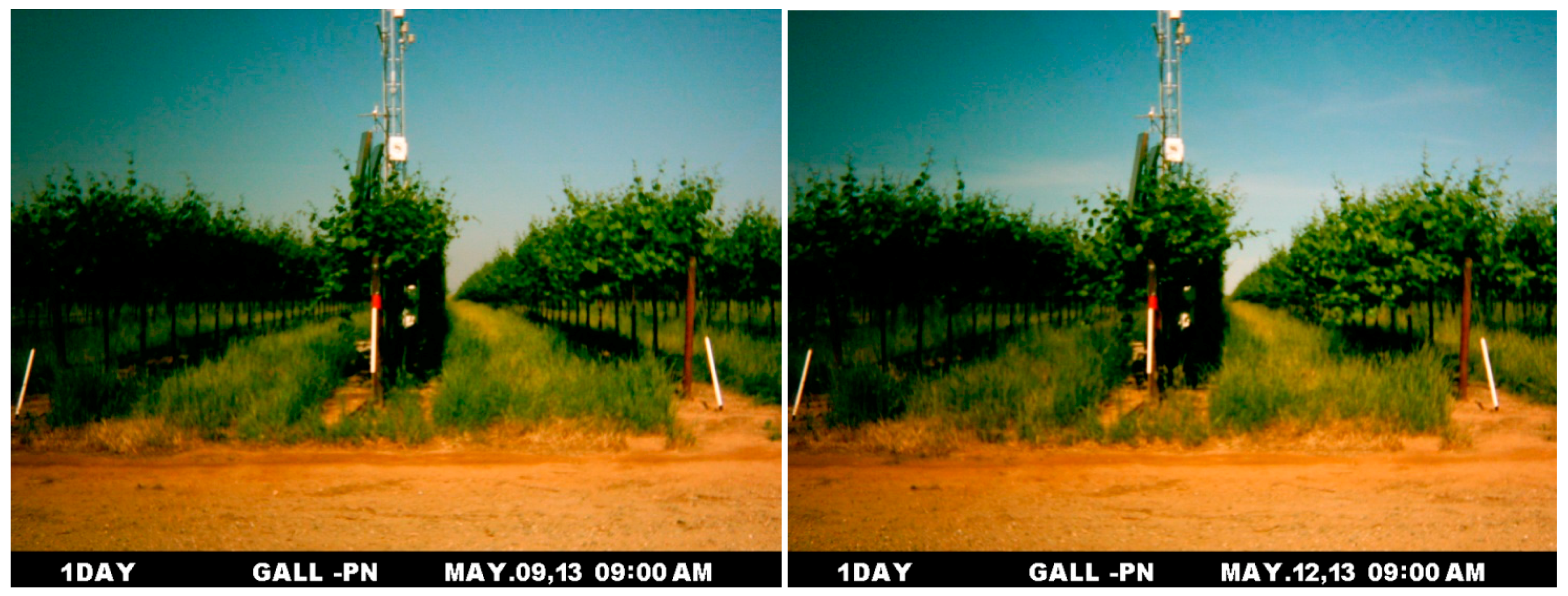 Remotesensing 09 00317 g011