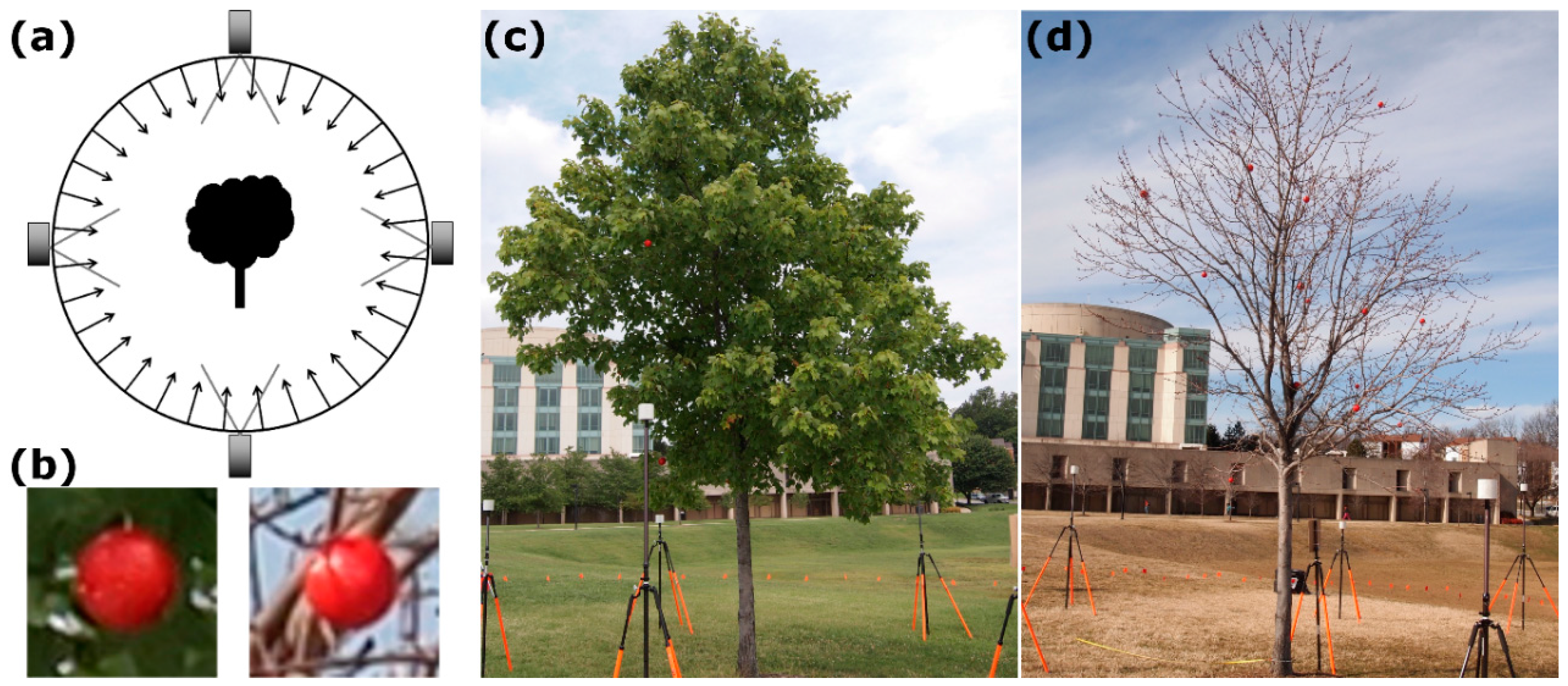 Remotesensing 09 00355 g002