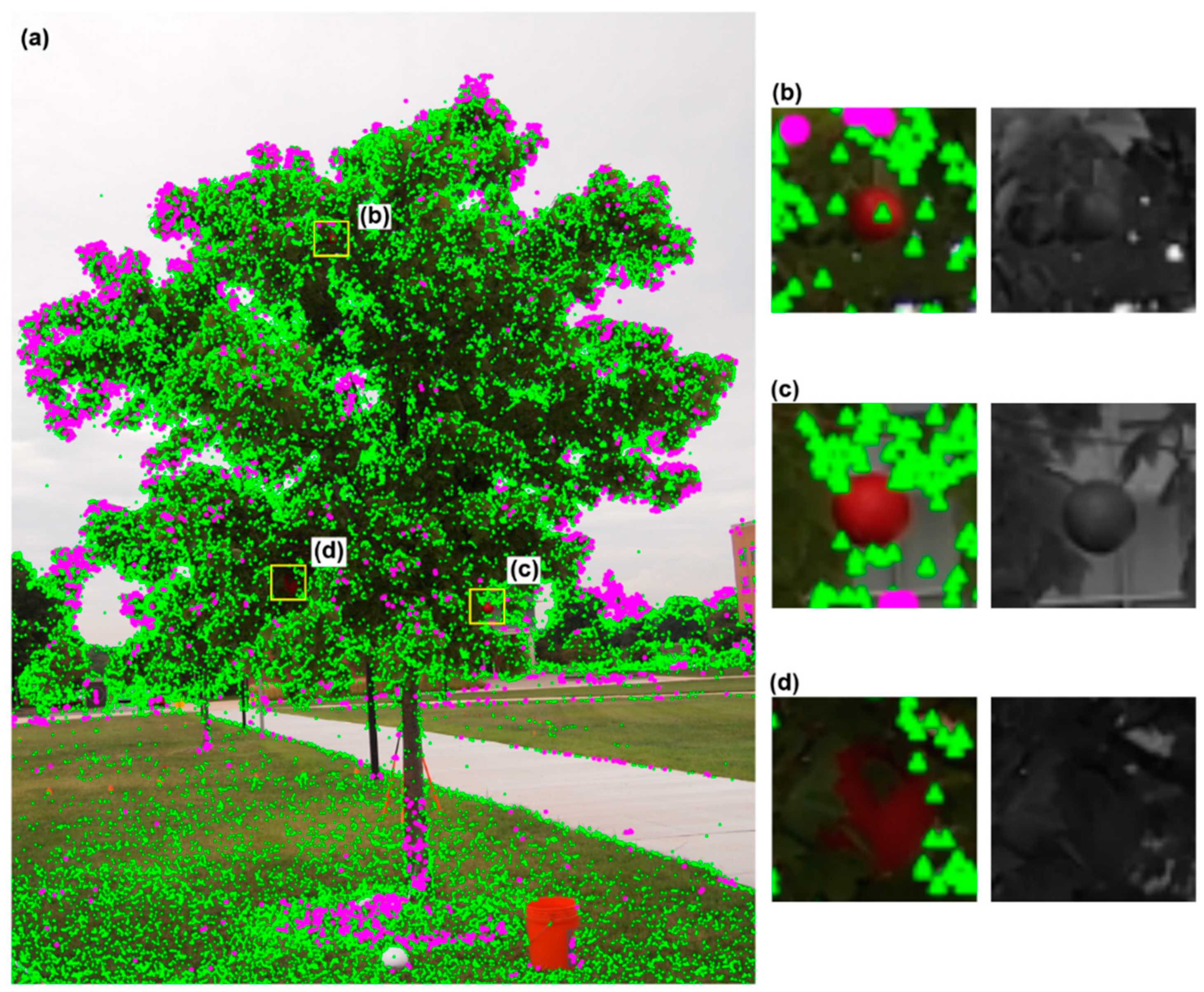 Remotesensing 09 00355 g005