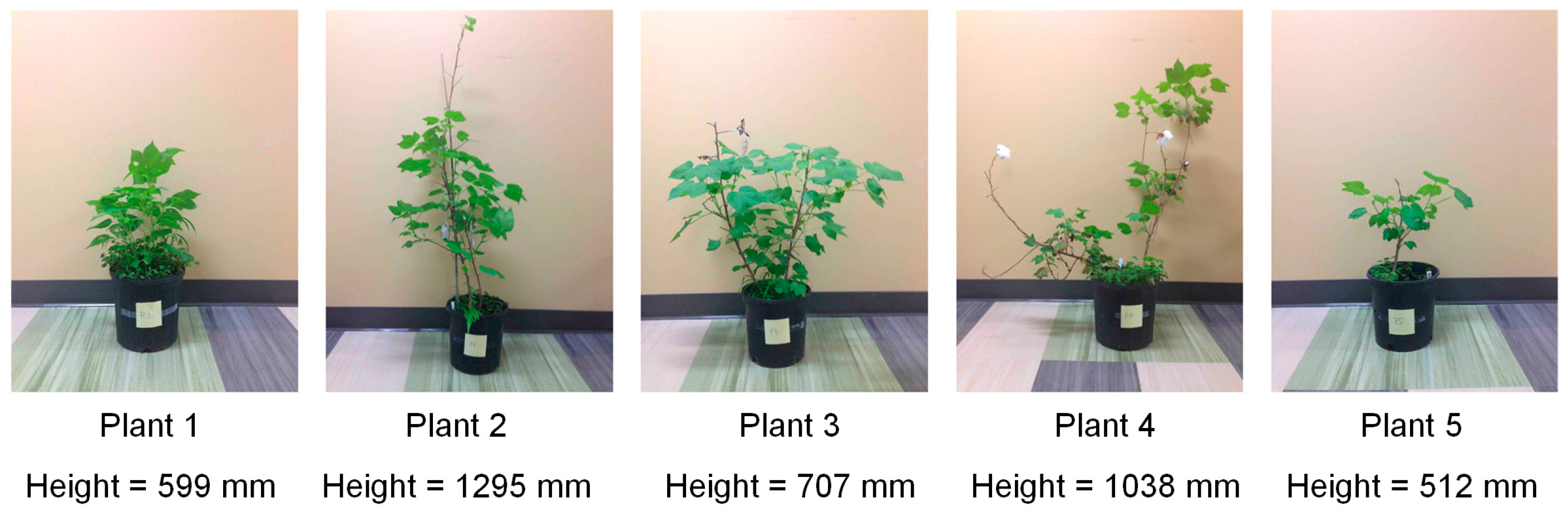 Remotesensing 09 00377 g008