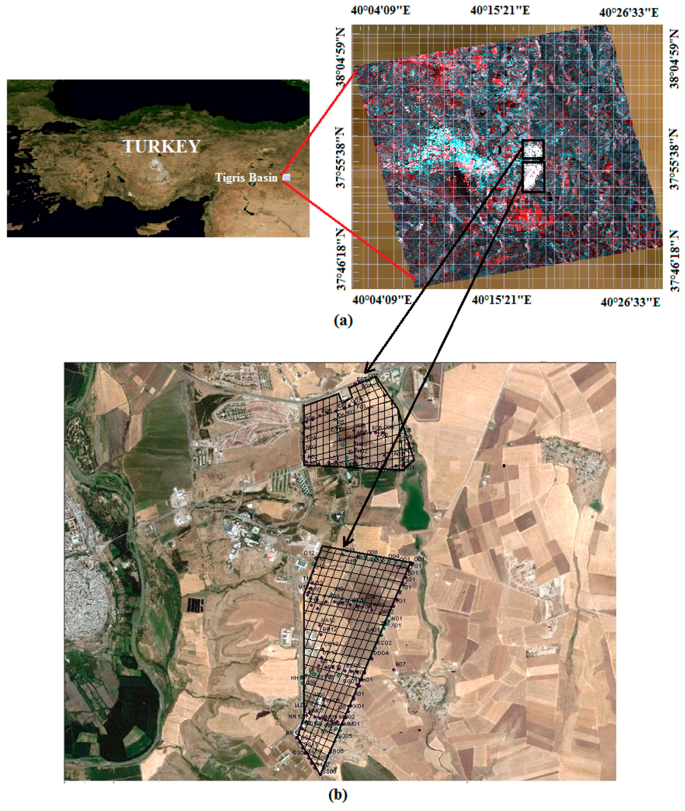 Remotesensing 09 00395 g001