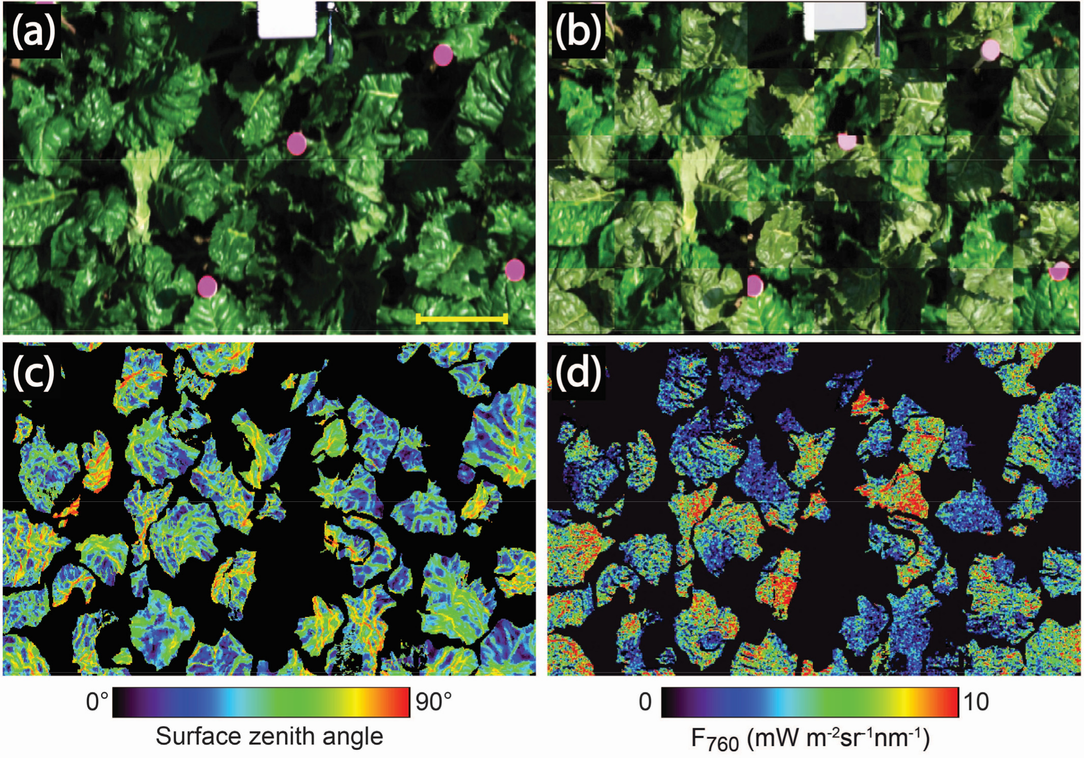 Remotesensing 09 00415 g003