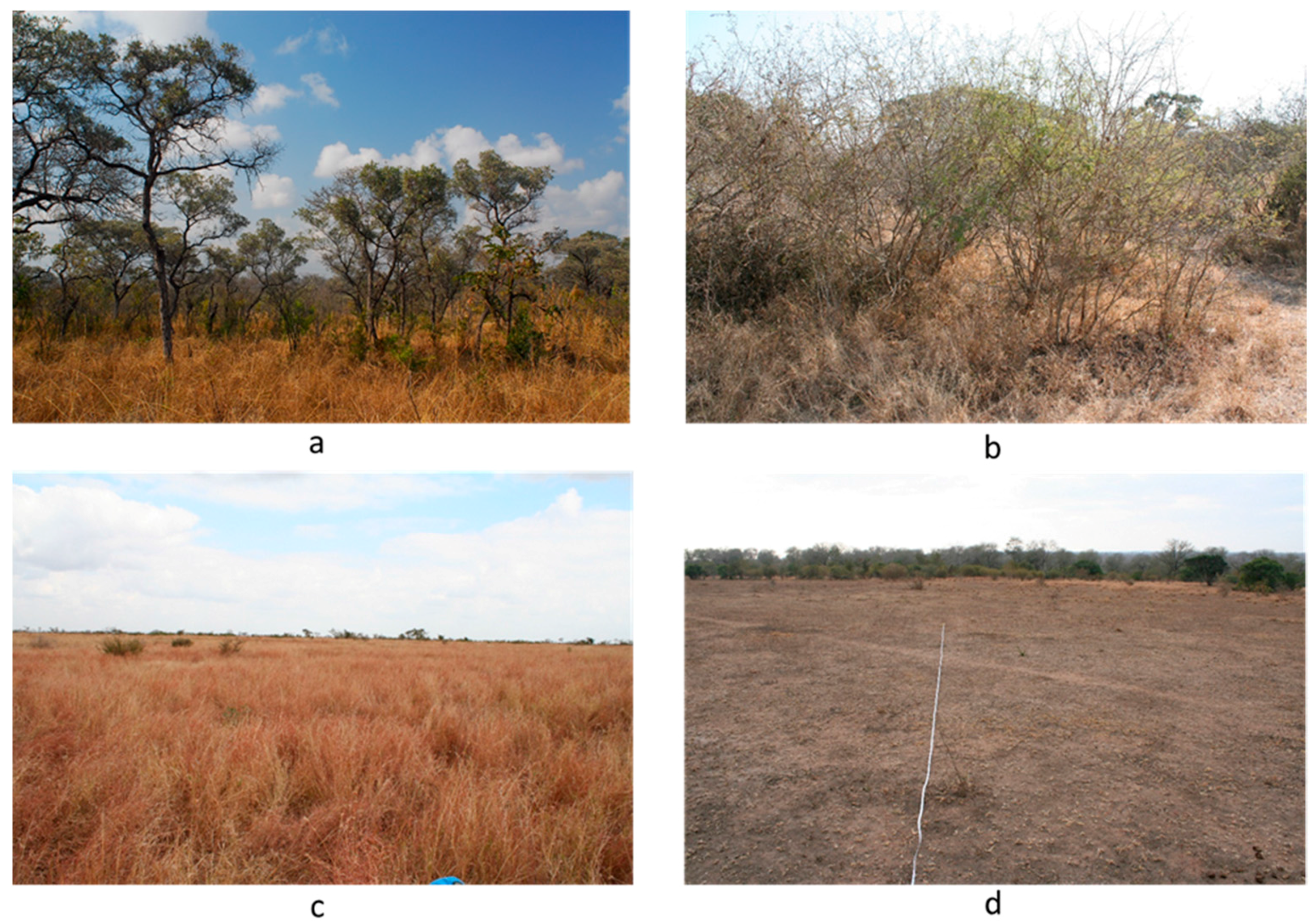 Remotesensing 09 00419 g002