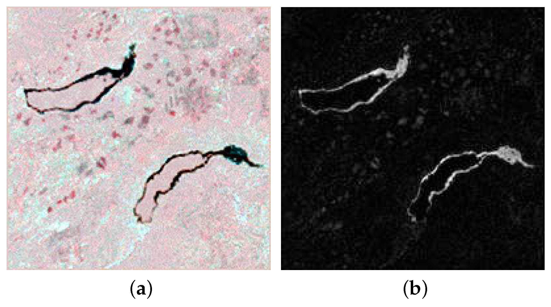 Remotesensing 09 00438 g004a