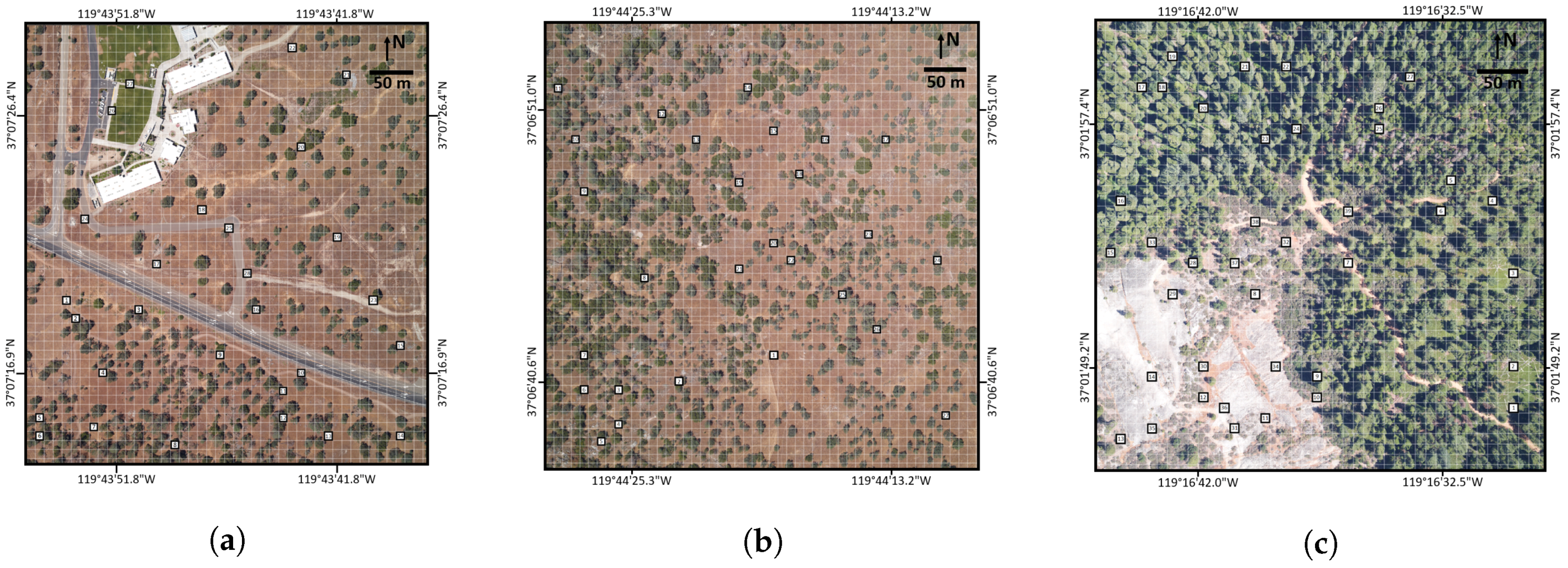 Remotesensing 09 00473 g003