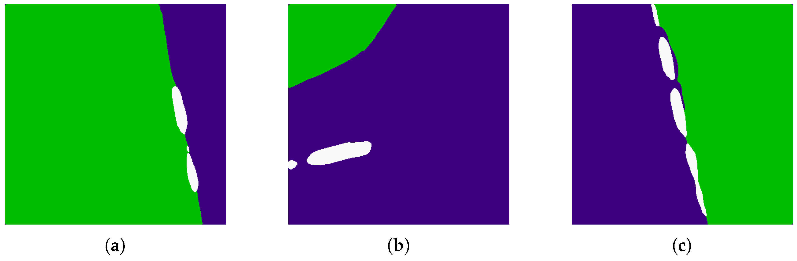 Remotesensing 09 00480 g009b