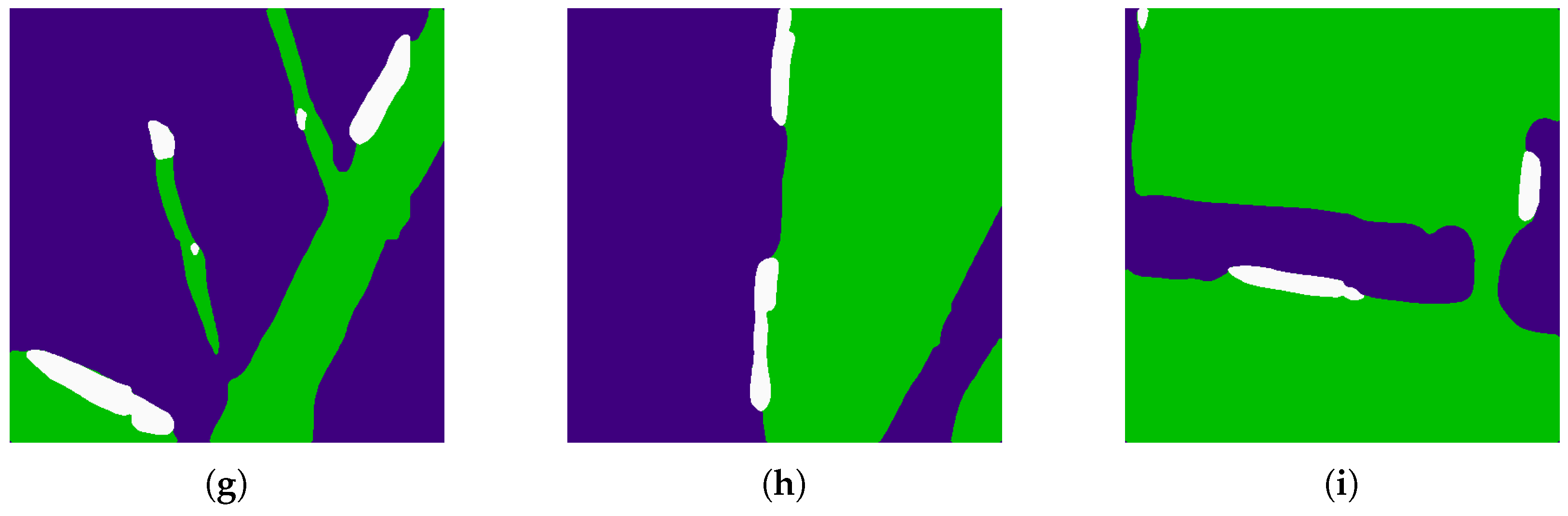 Remotesensing 09 00480 g010b