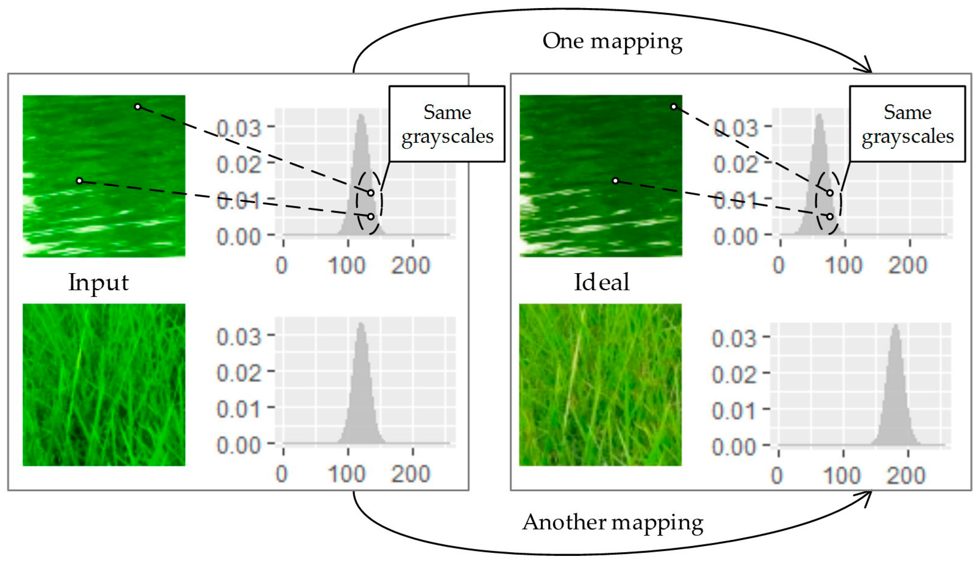 Remotesensing 09 00483 g002