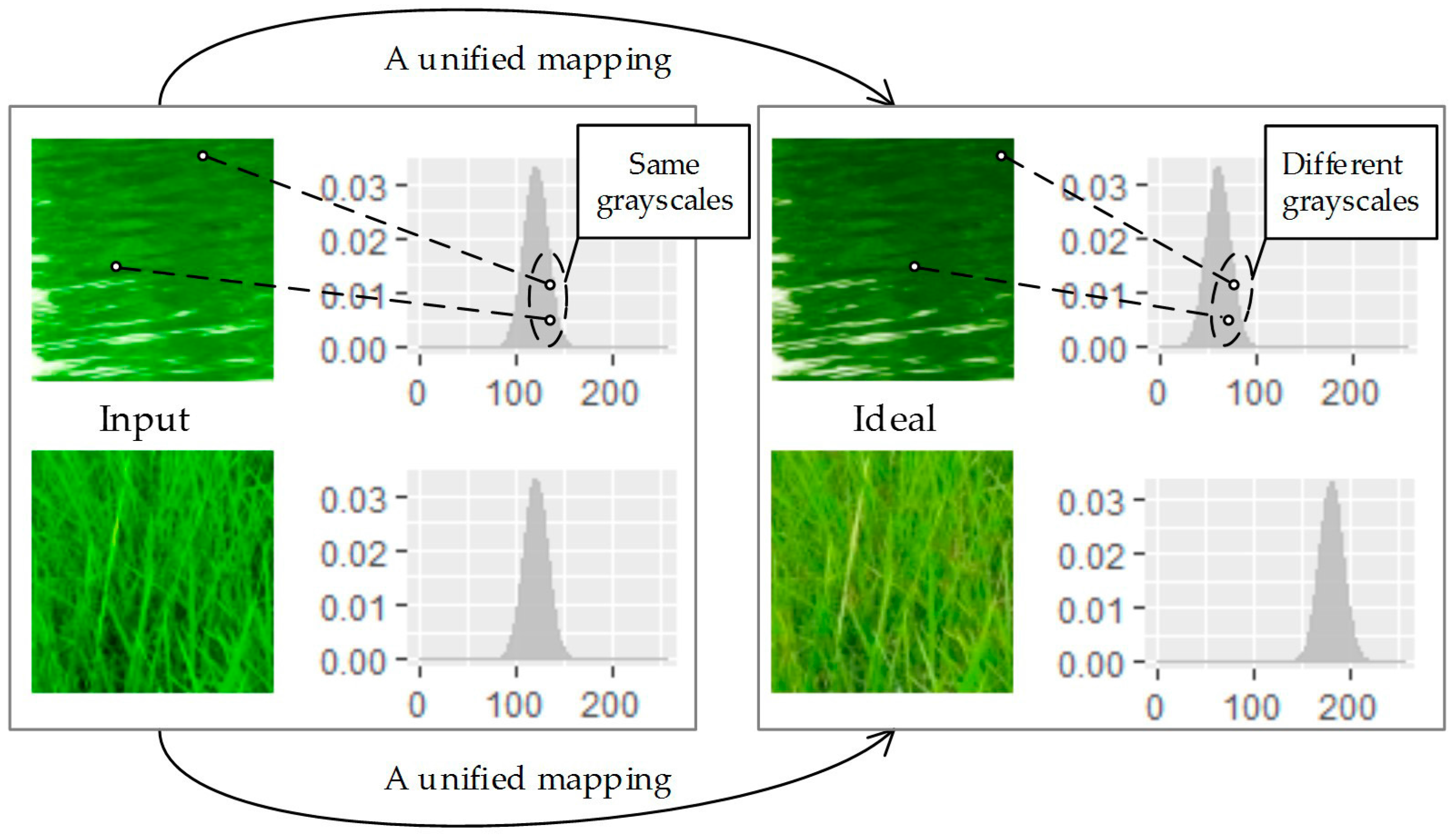 Remotesensing 09 00483 g003