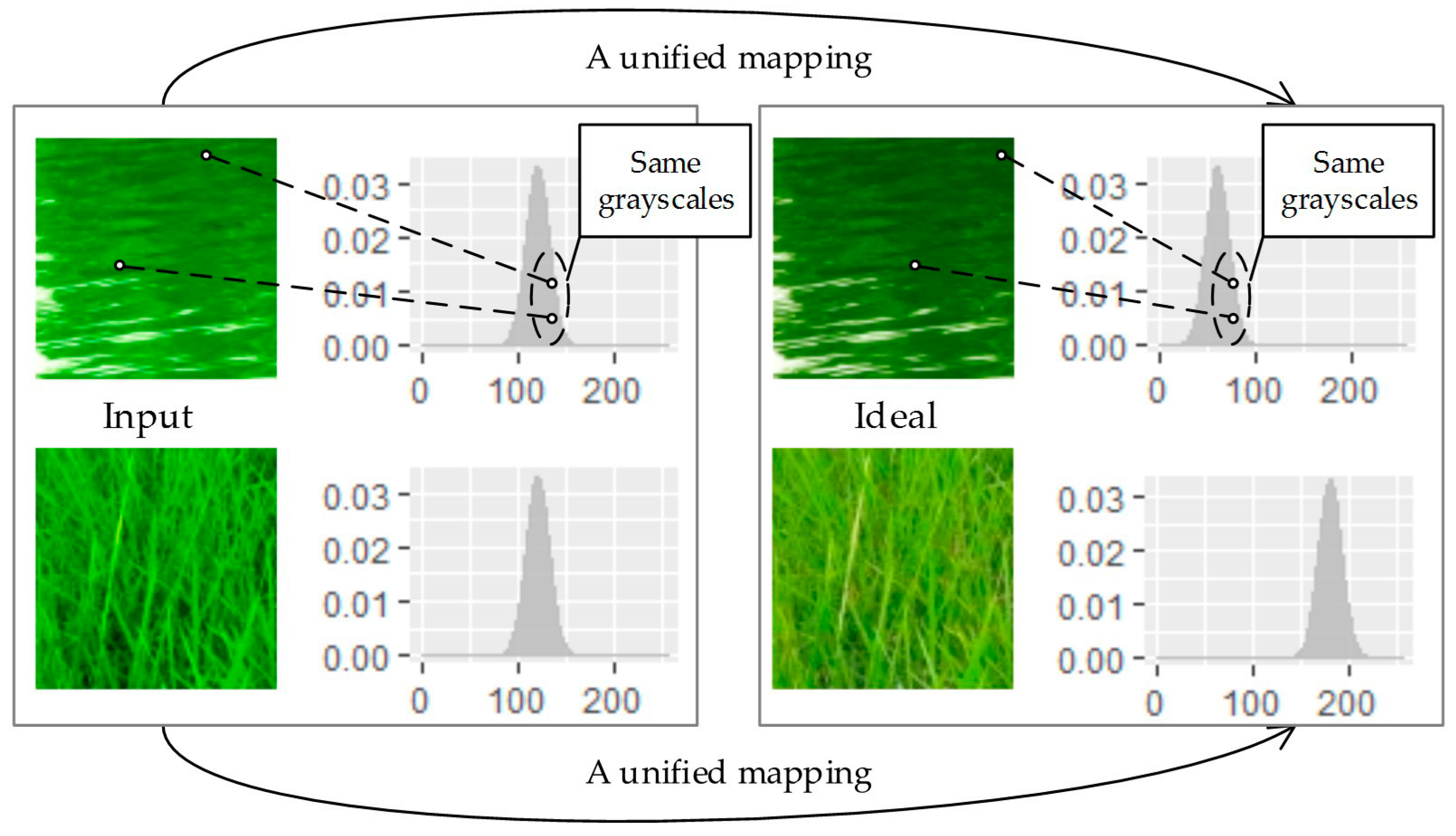 Remotesensing 09 00483 g004