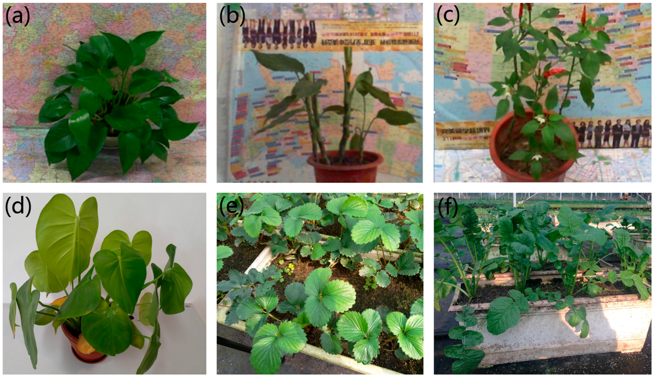 Remotesensing 09 00508 g002