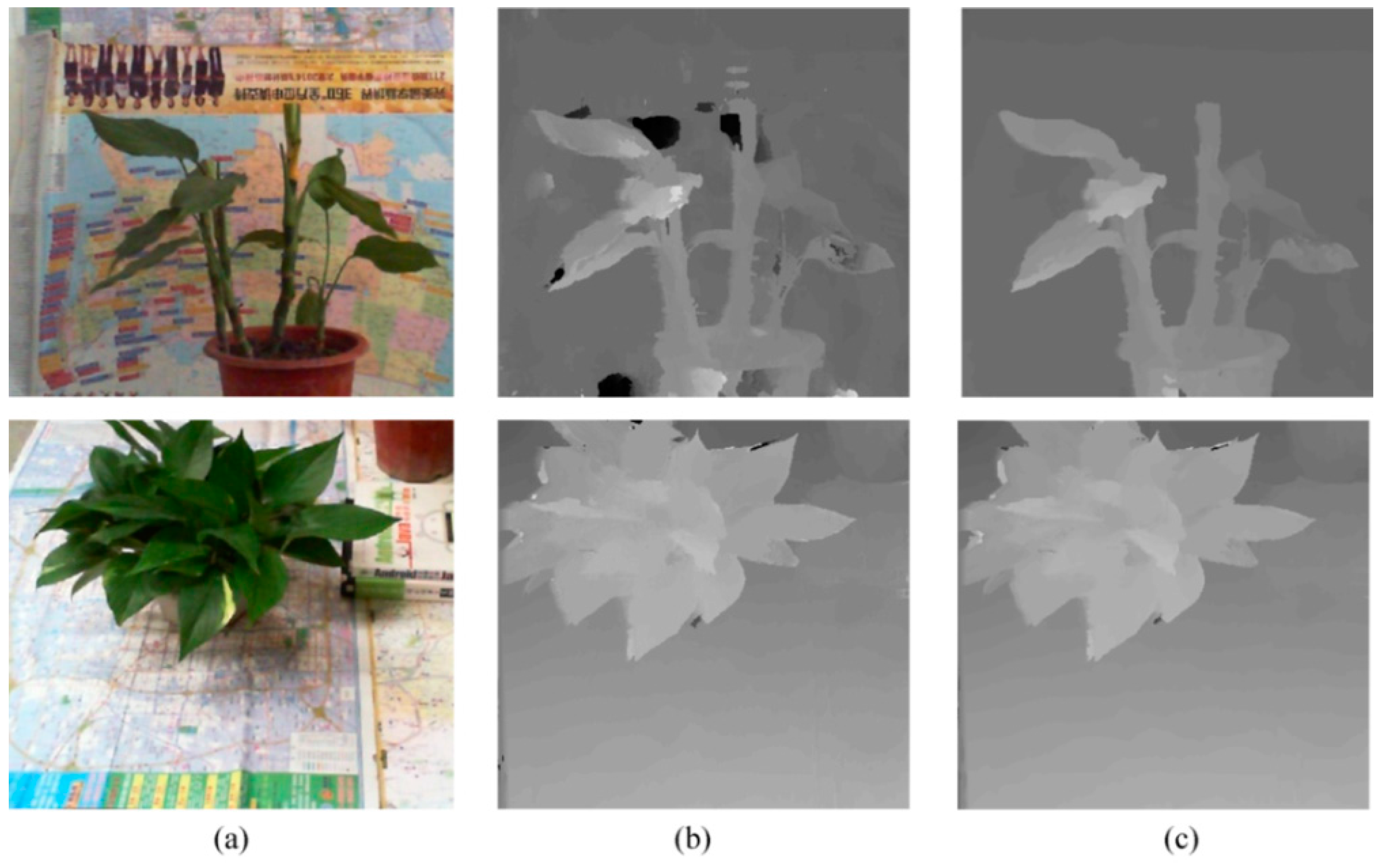 Remotesensing 09 00508 g010