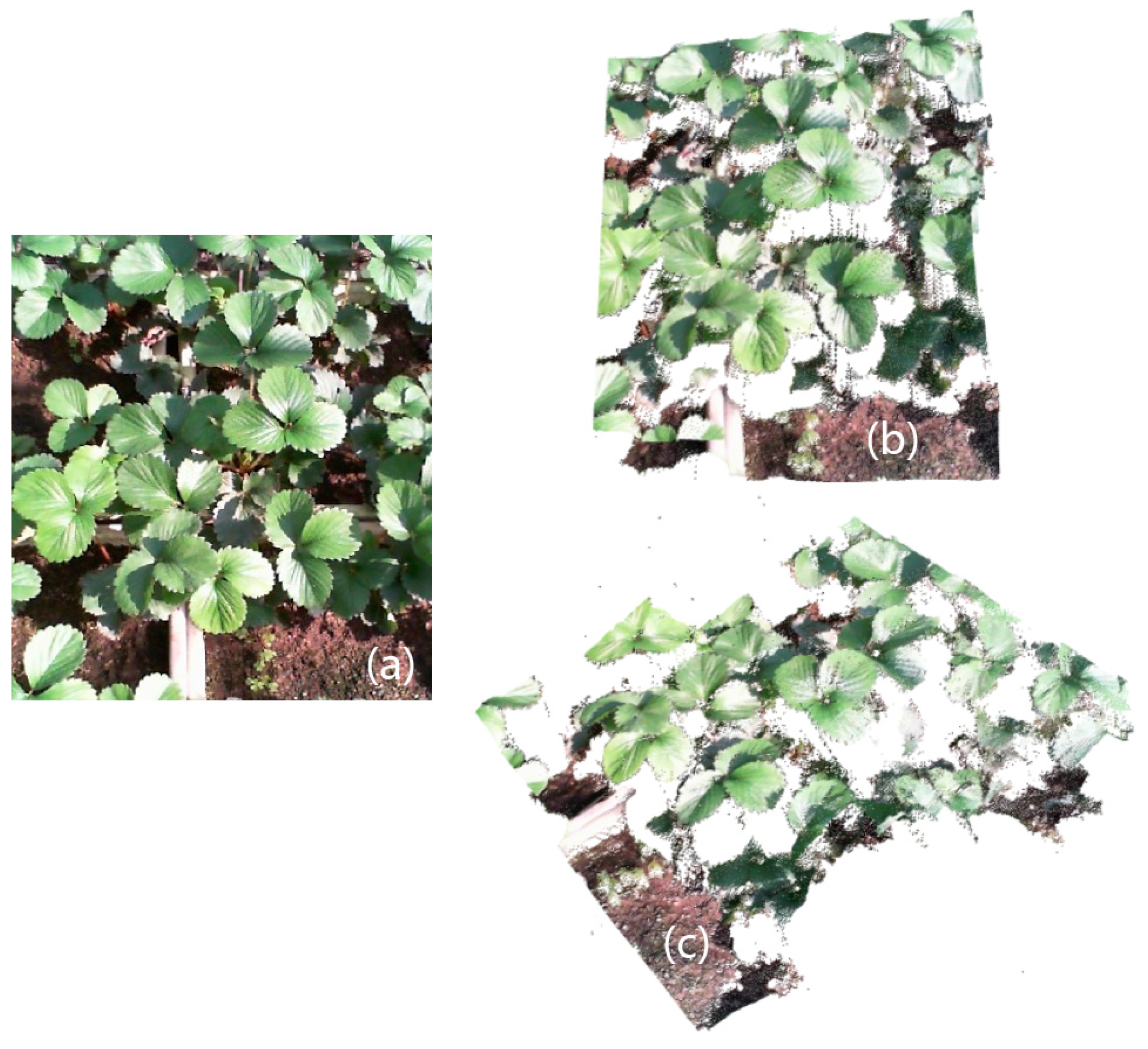 Remotesensing 09 00508 g016