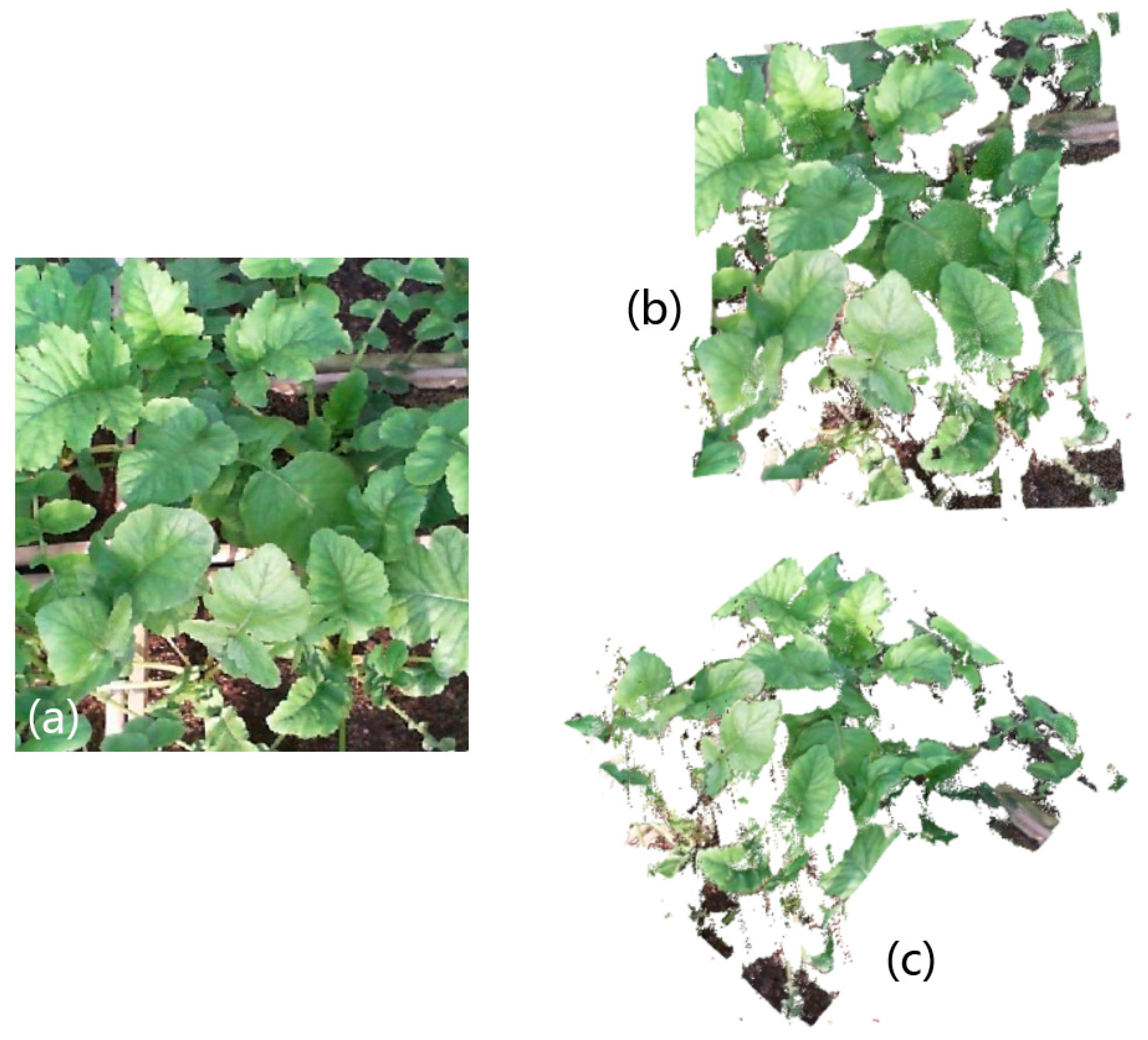 Remotesensing 09 00508 g017