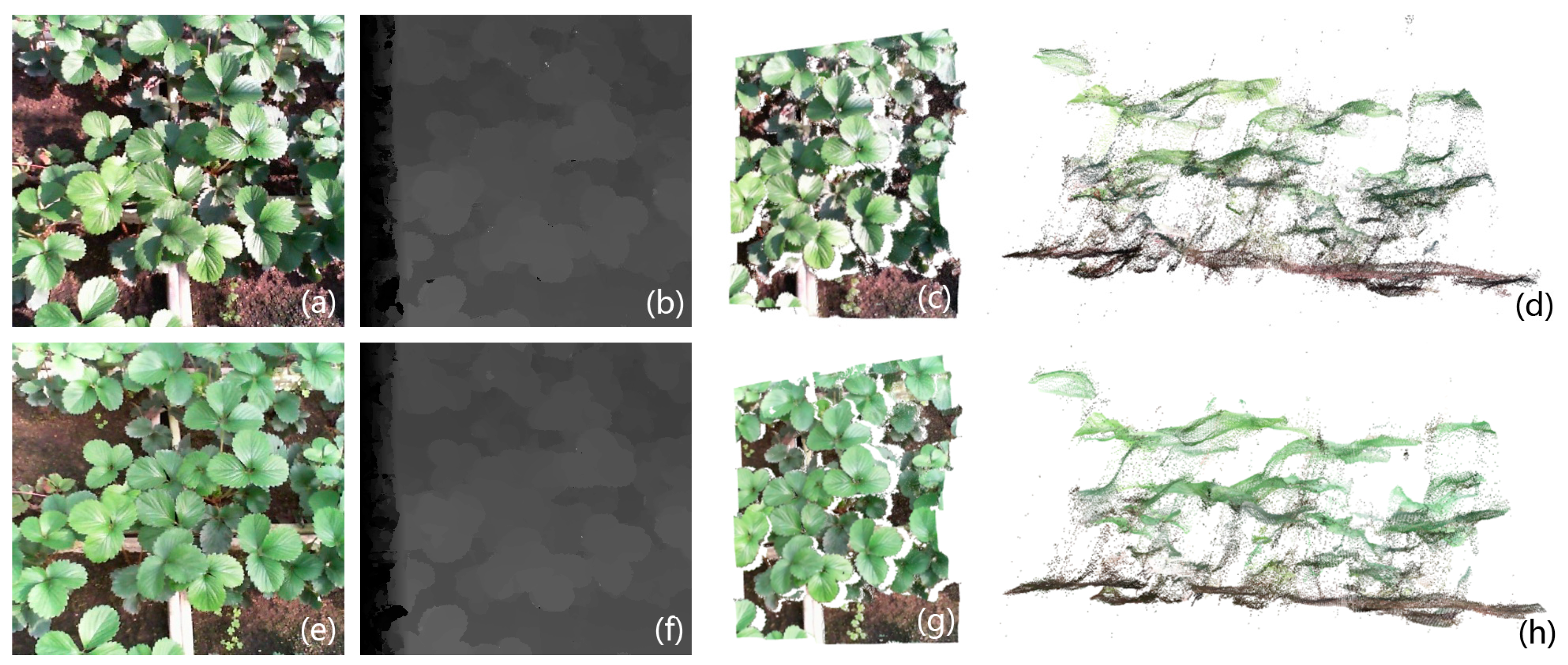 Remotesensing 09 00508 g020