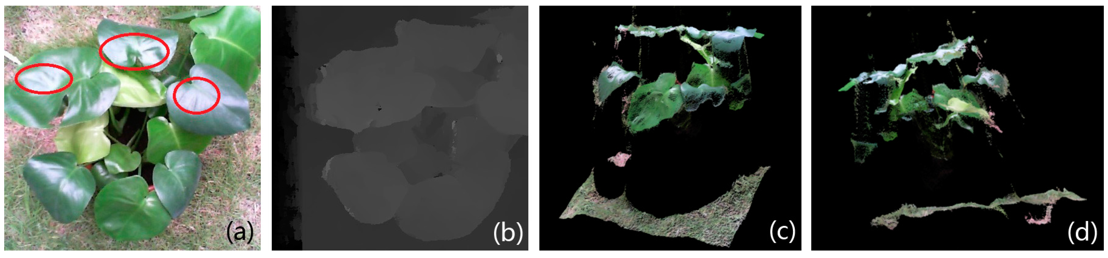 Remotesensing 09 00508 g022