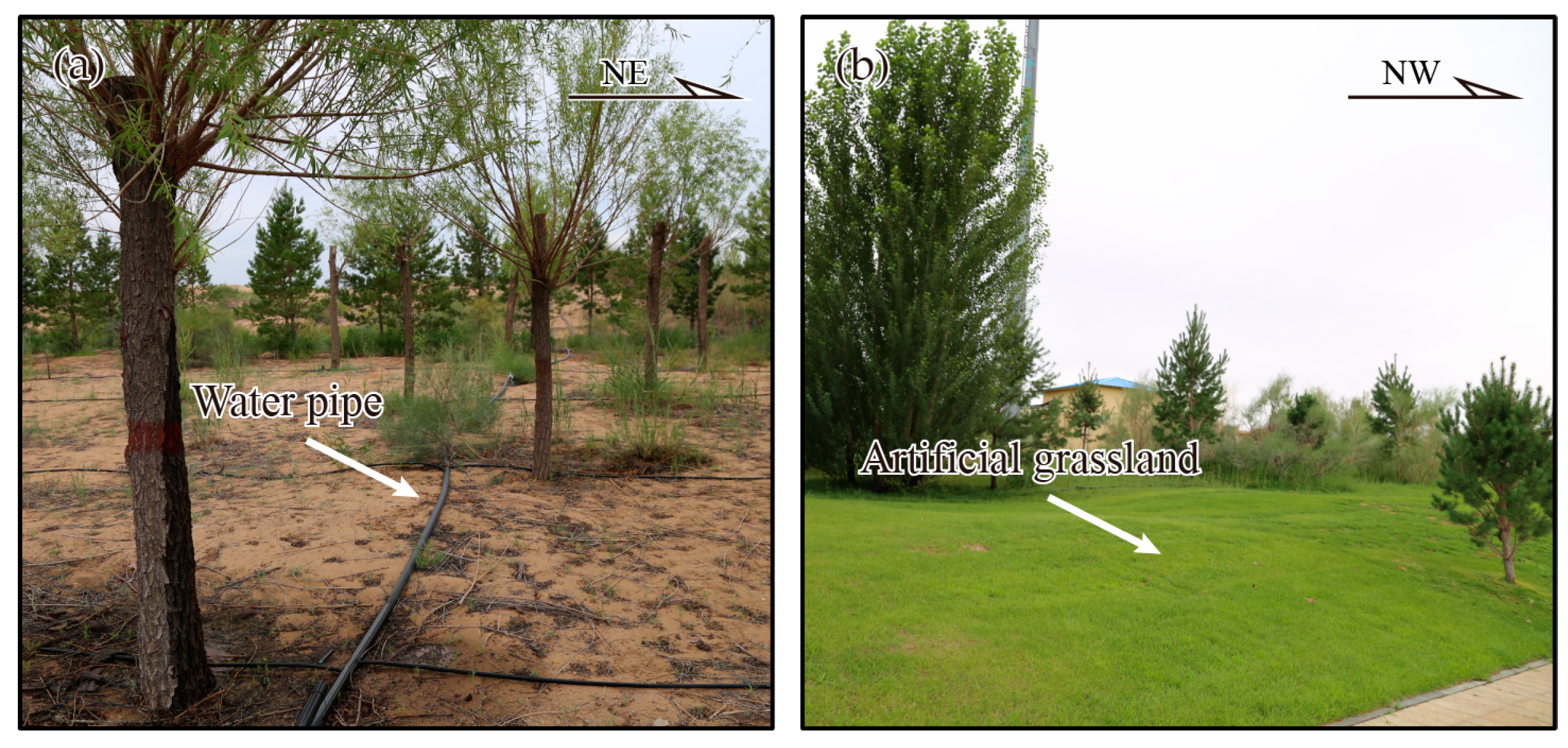 Remotesensing 09 00525 g012