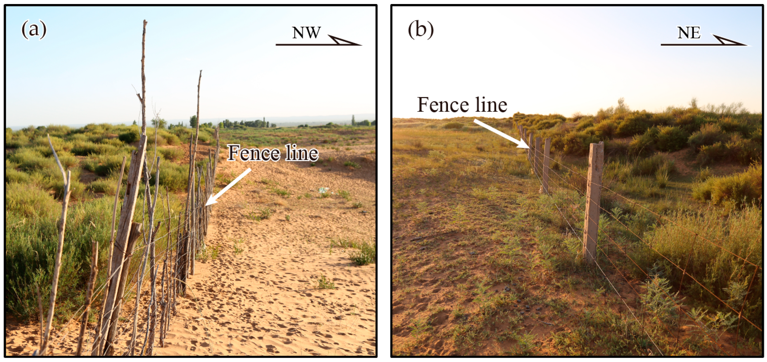Remotesensing 09 00525 g014