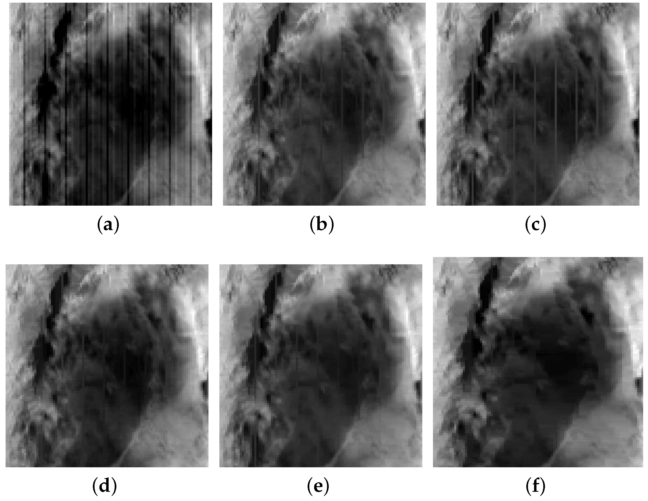 Remotesensing 09 00559 g014