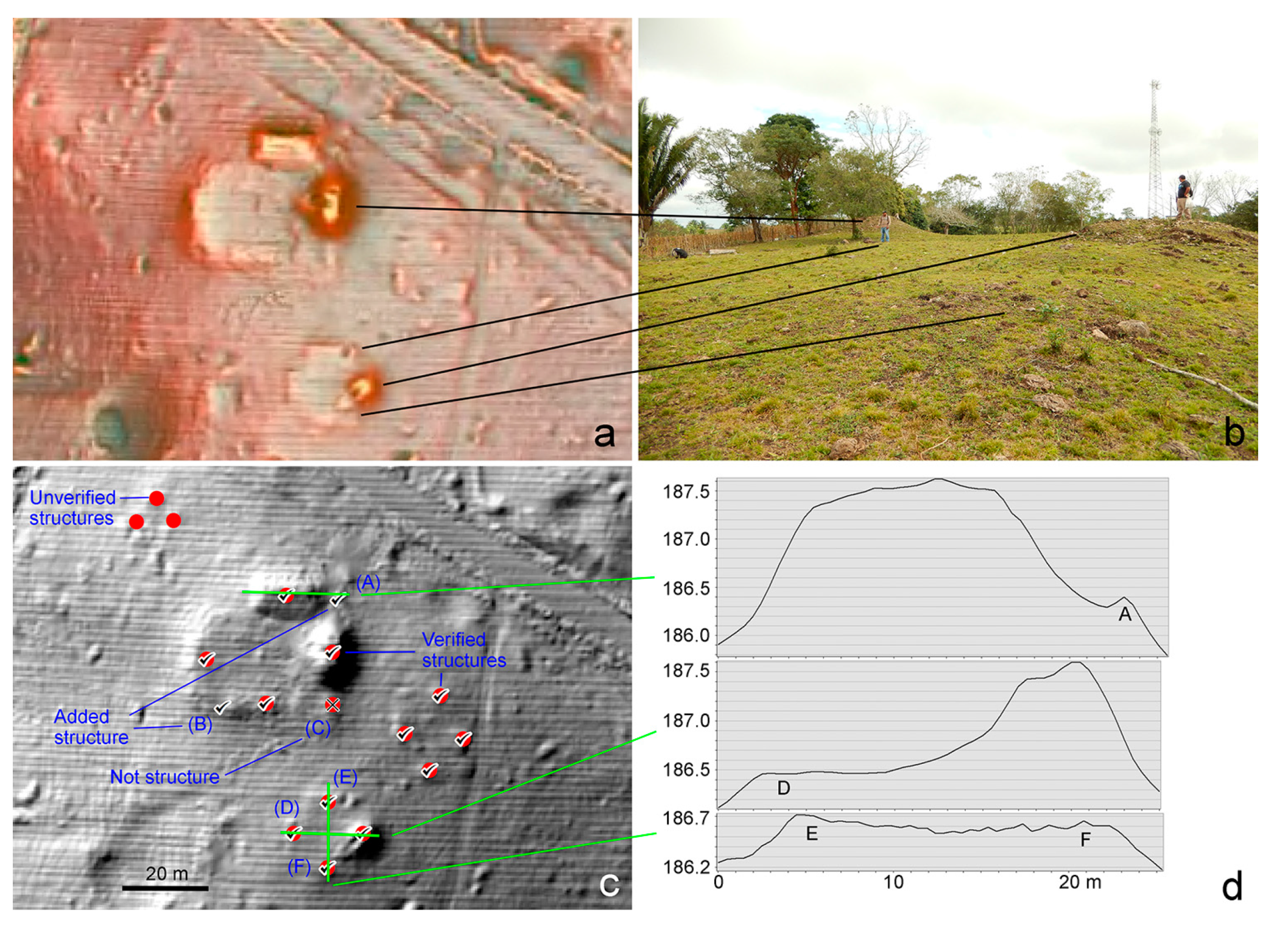 Remotesensing 09 00563 g011