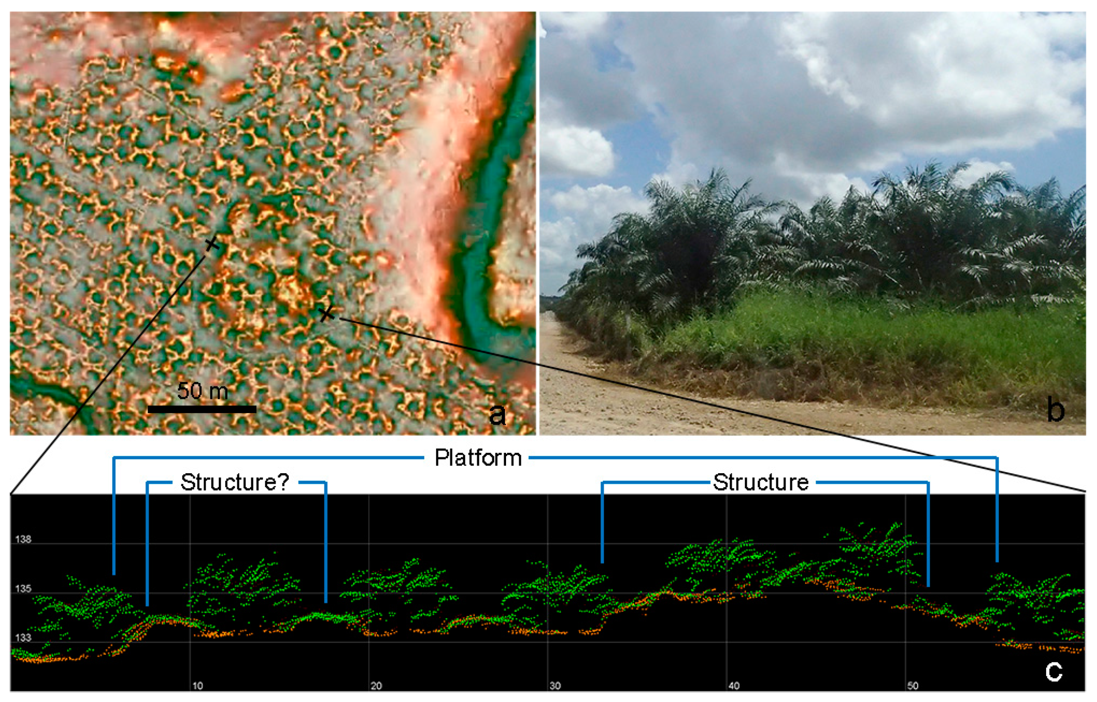 Remotesensing 09 00563 g012