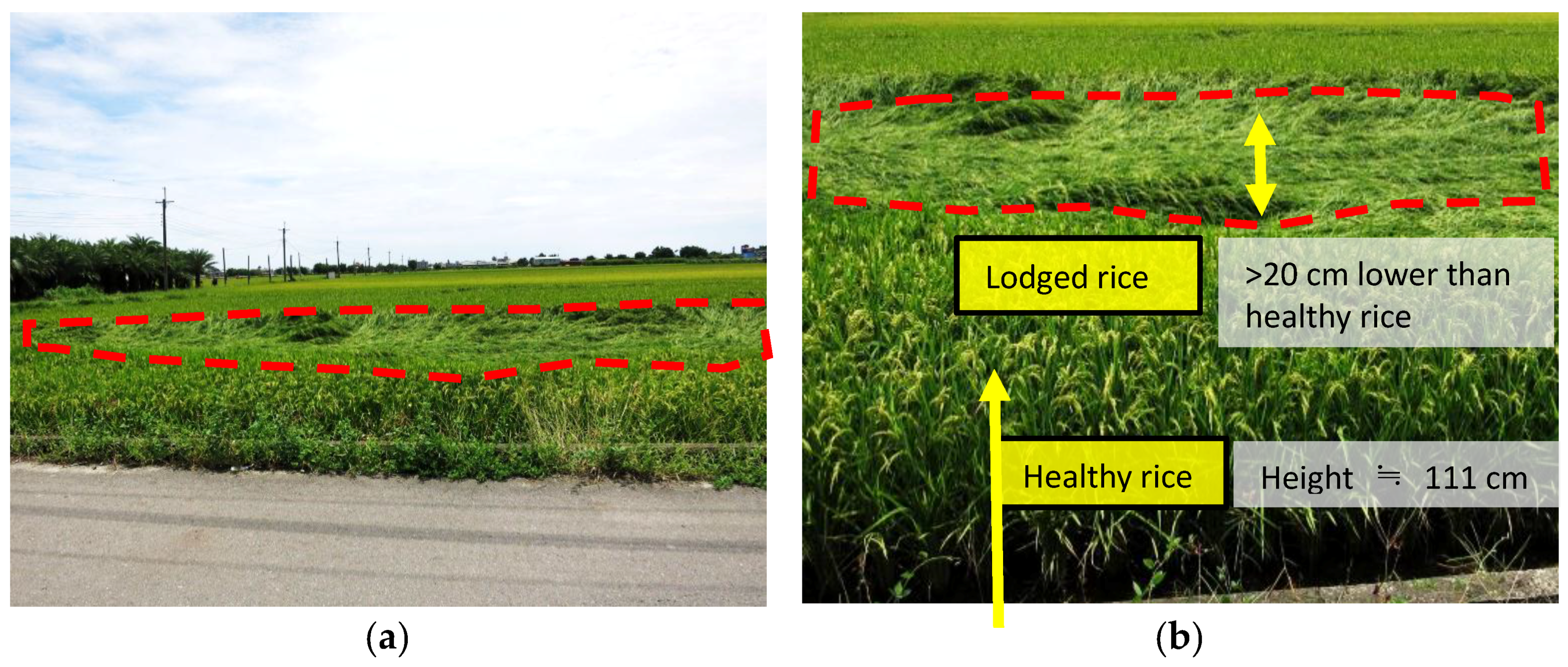 Remotesensing 09 00583 g004