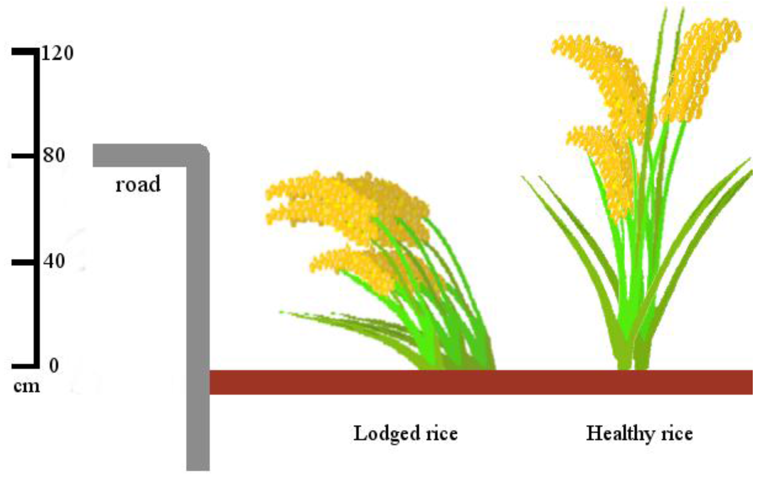 Remotesensing 09 00583 g005