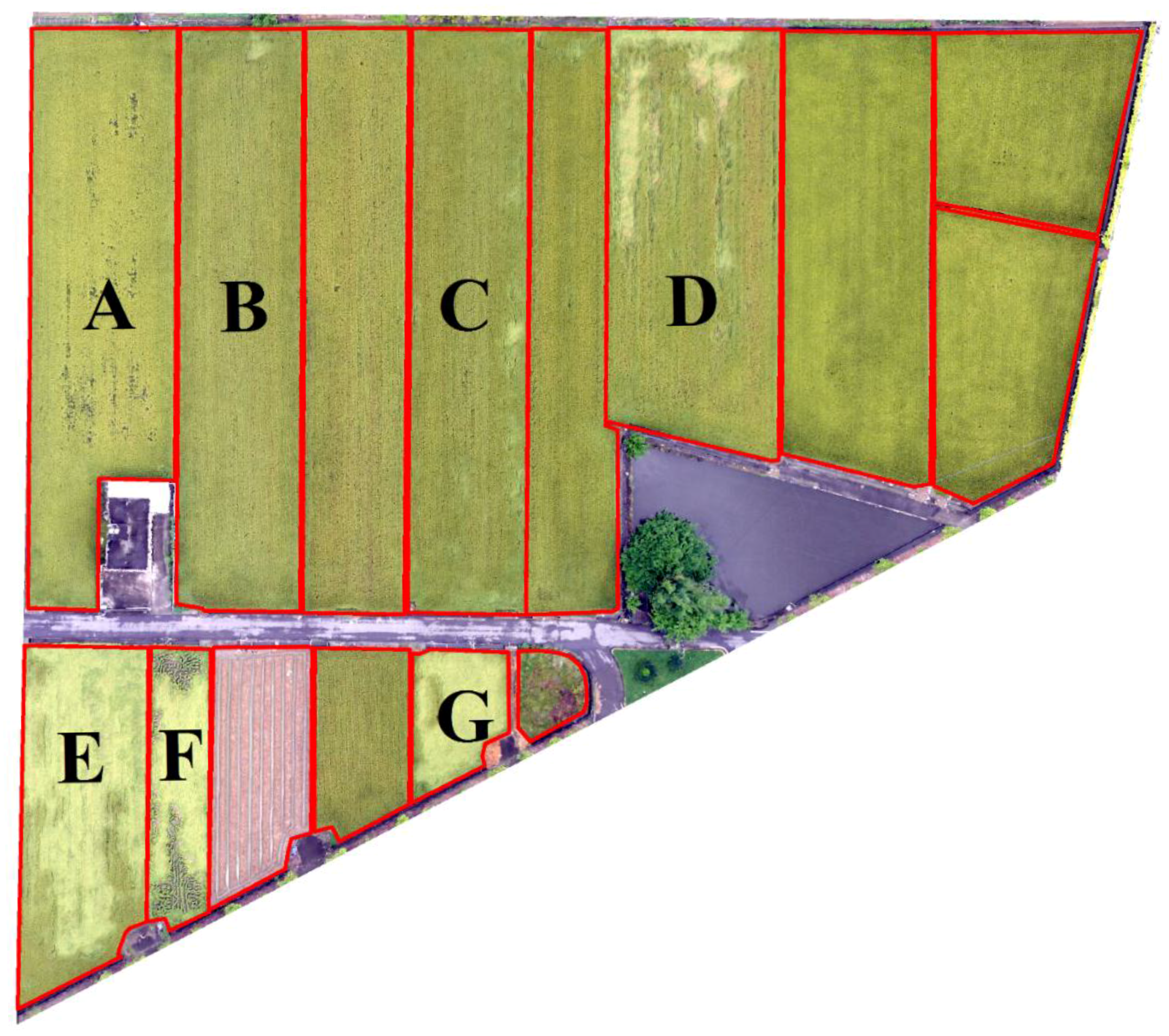 Remotesensing 09 00583 g012