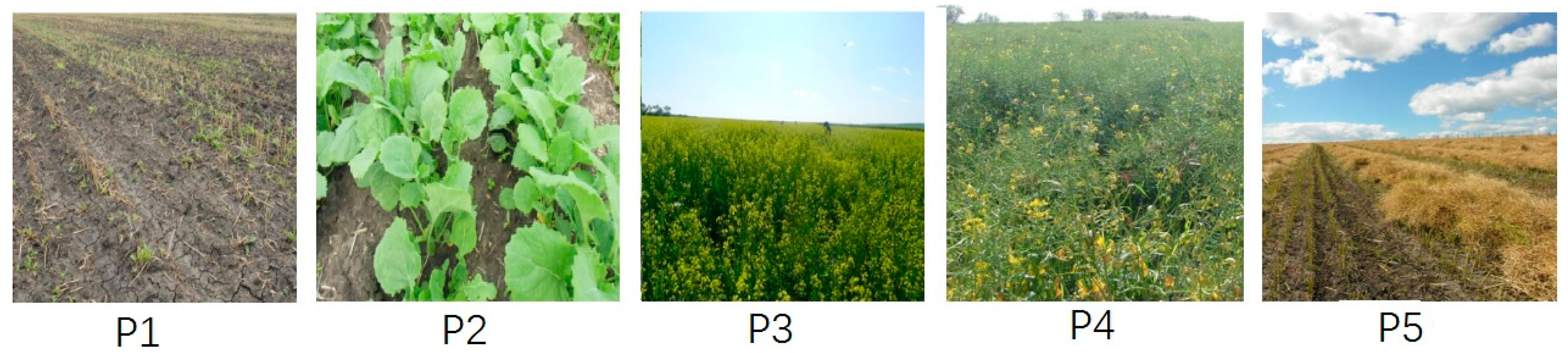 Remotesensing 09 00591 g002