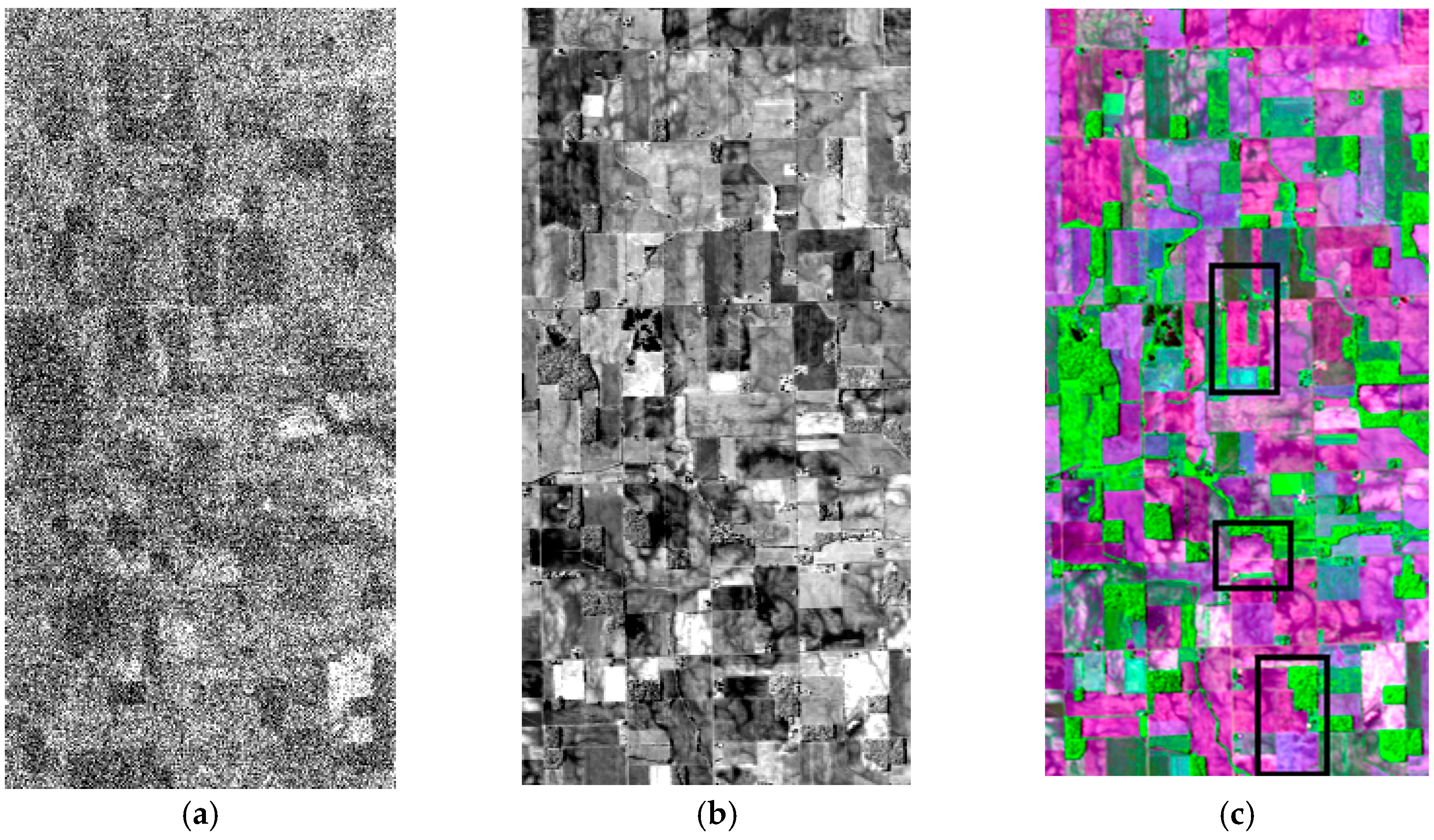 Remotesensing 09 00592 g010