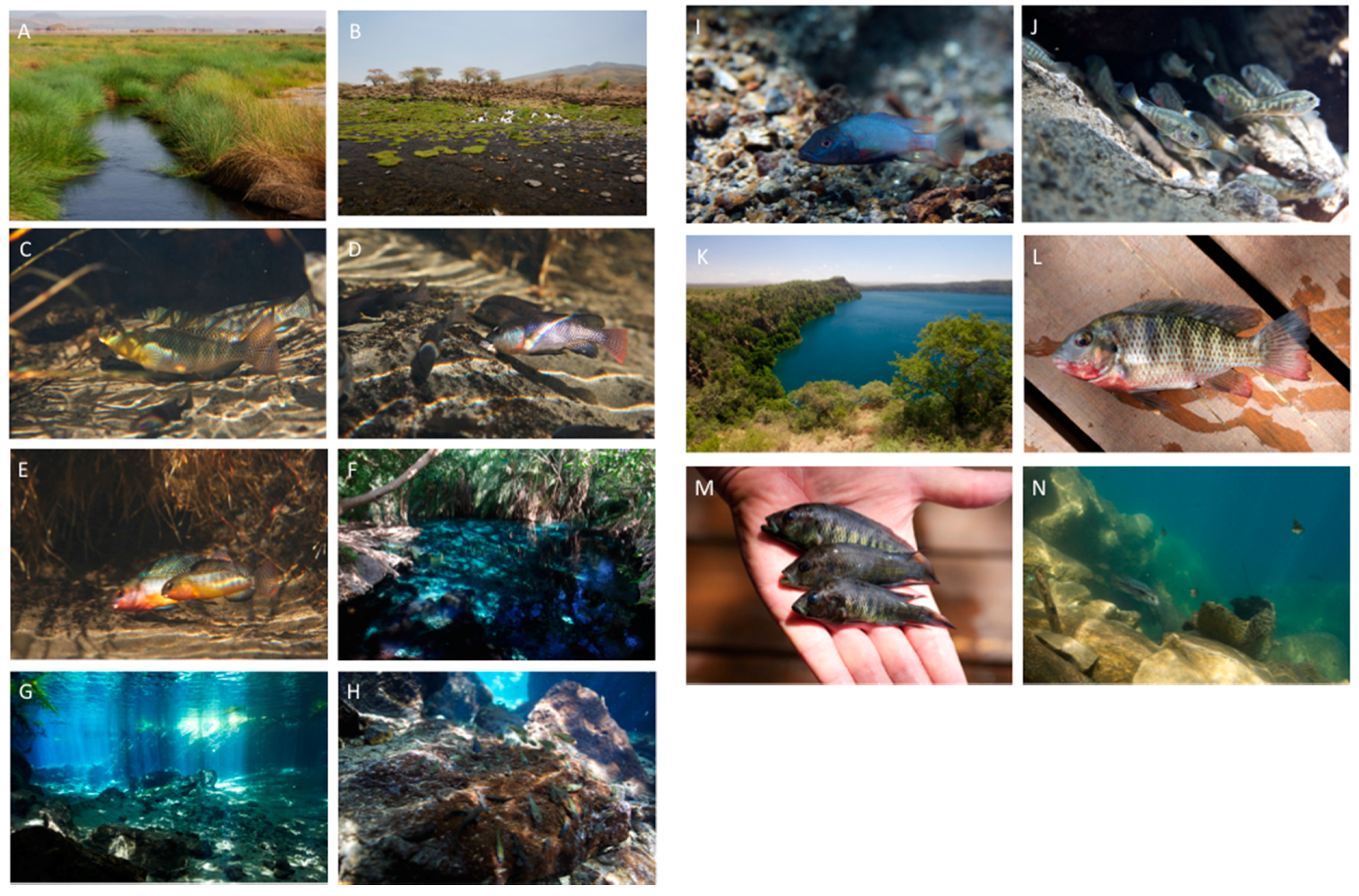 Remotesensing 09 00623 g002