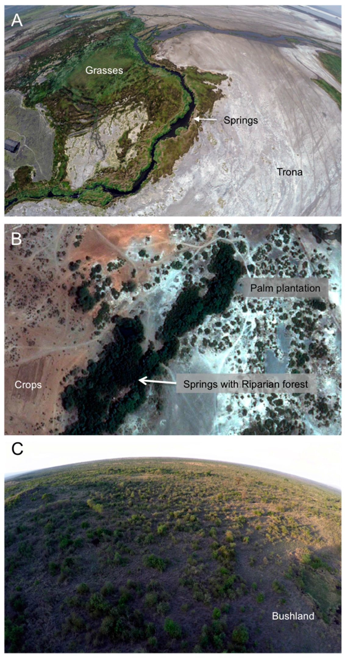 Remotesensing 09 00623 g003