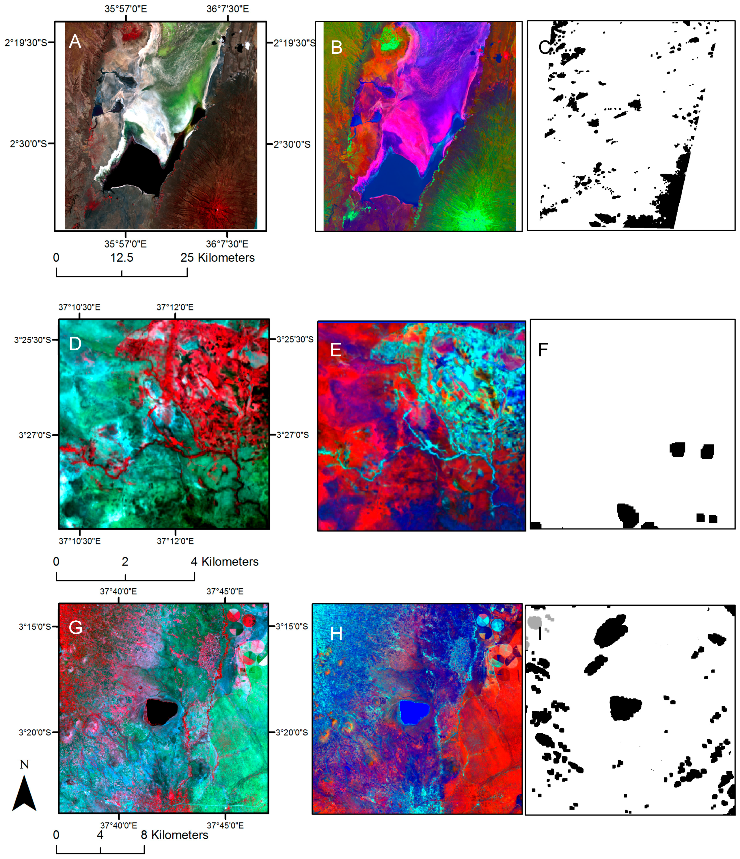 Remotesensing 09 00623 g005