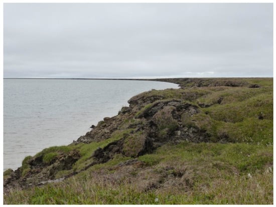 Remotesensing 09 00640 g012 550